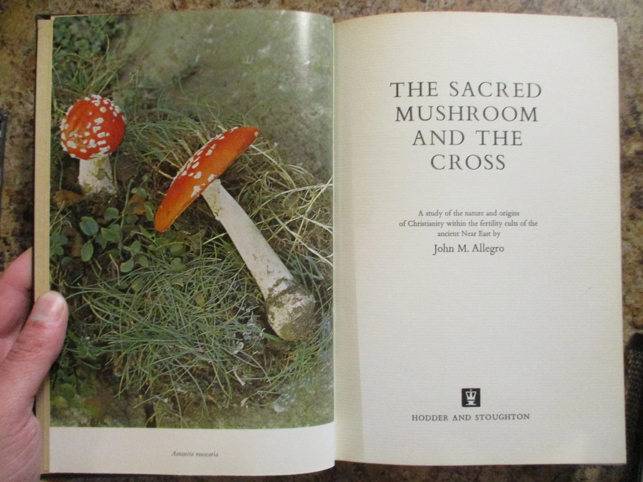 004435 - Sacred Mushroom Cross 5.JPG