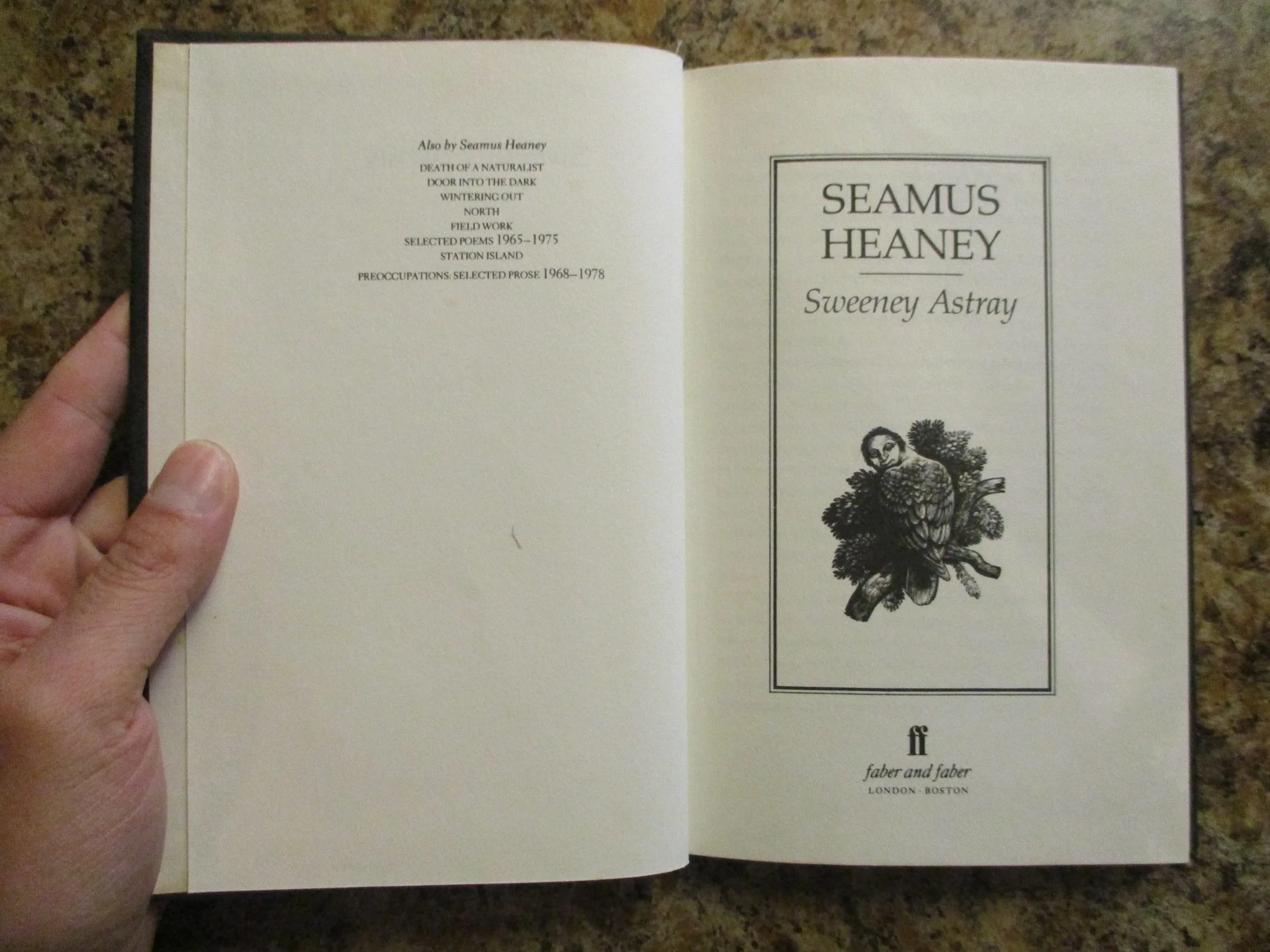 004287 - Sweeney Astray 5.JPG