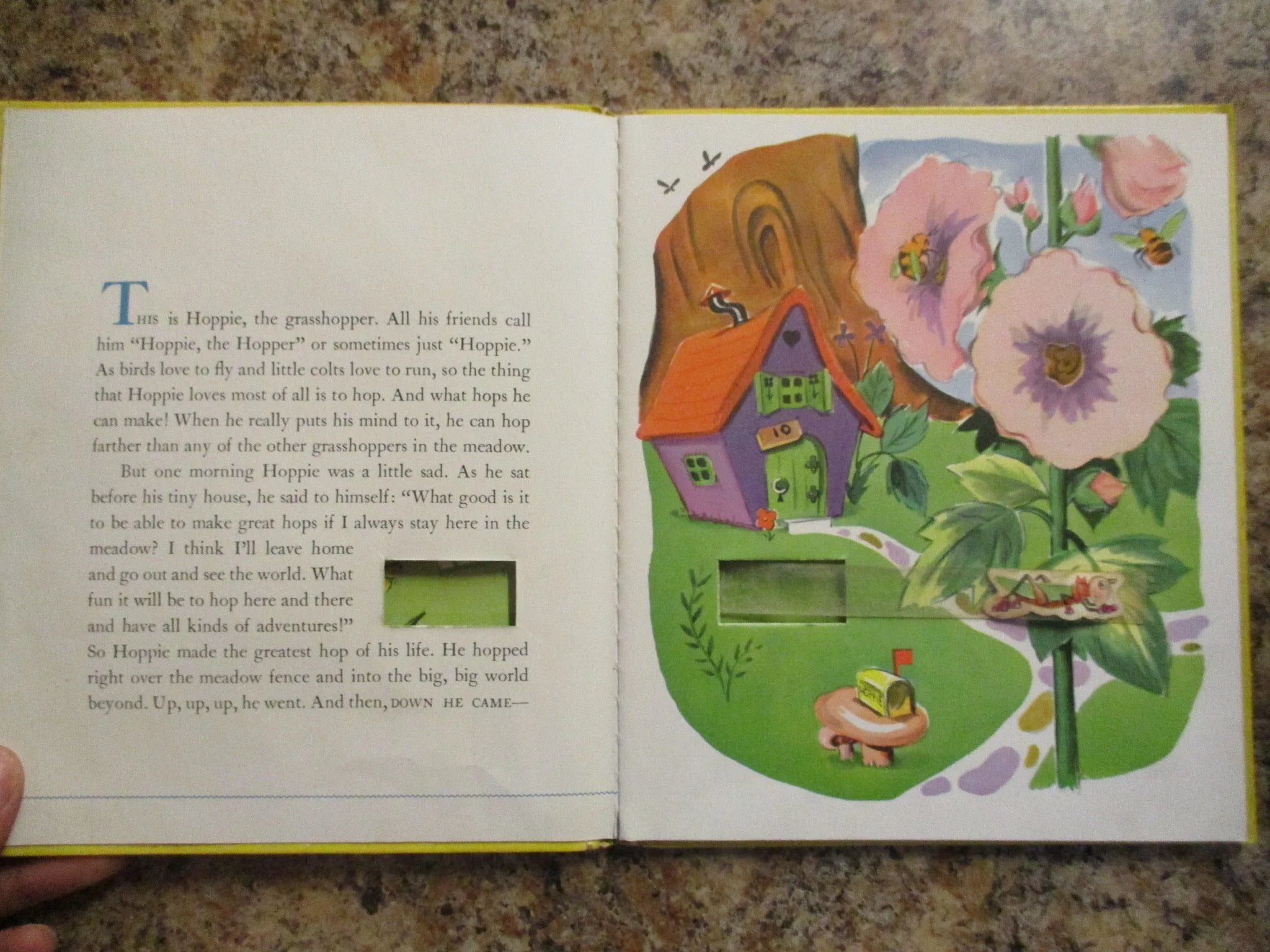 004333 - Hoppie 4.JPG