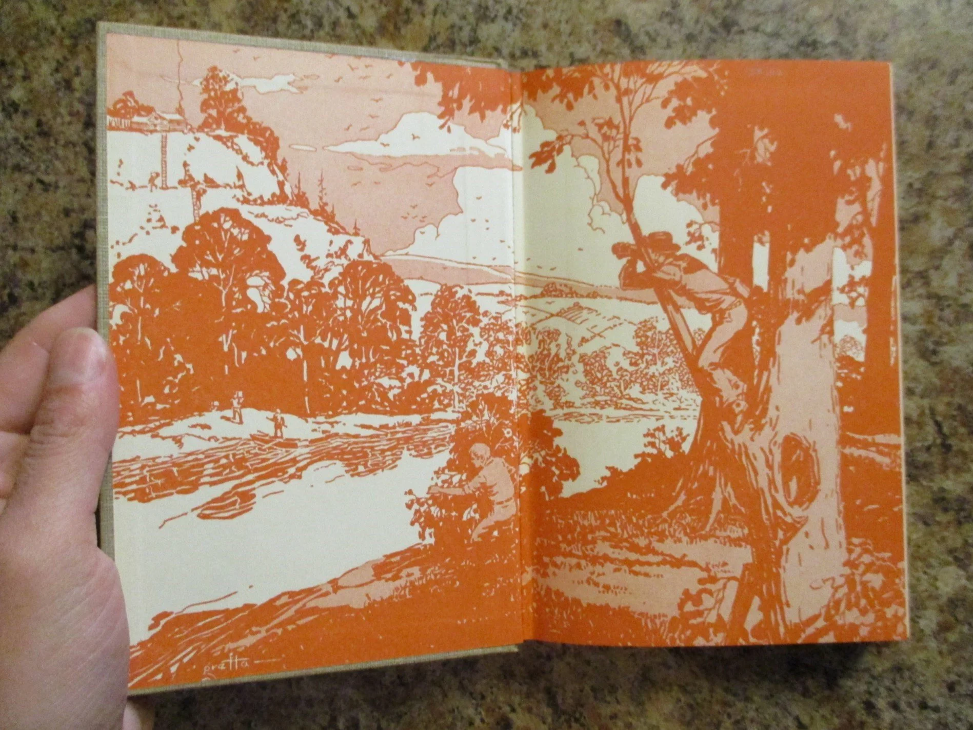 004297 - HB18 Twisted Claw 5.JPG