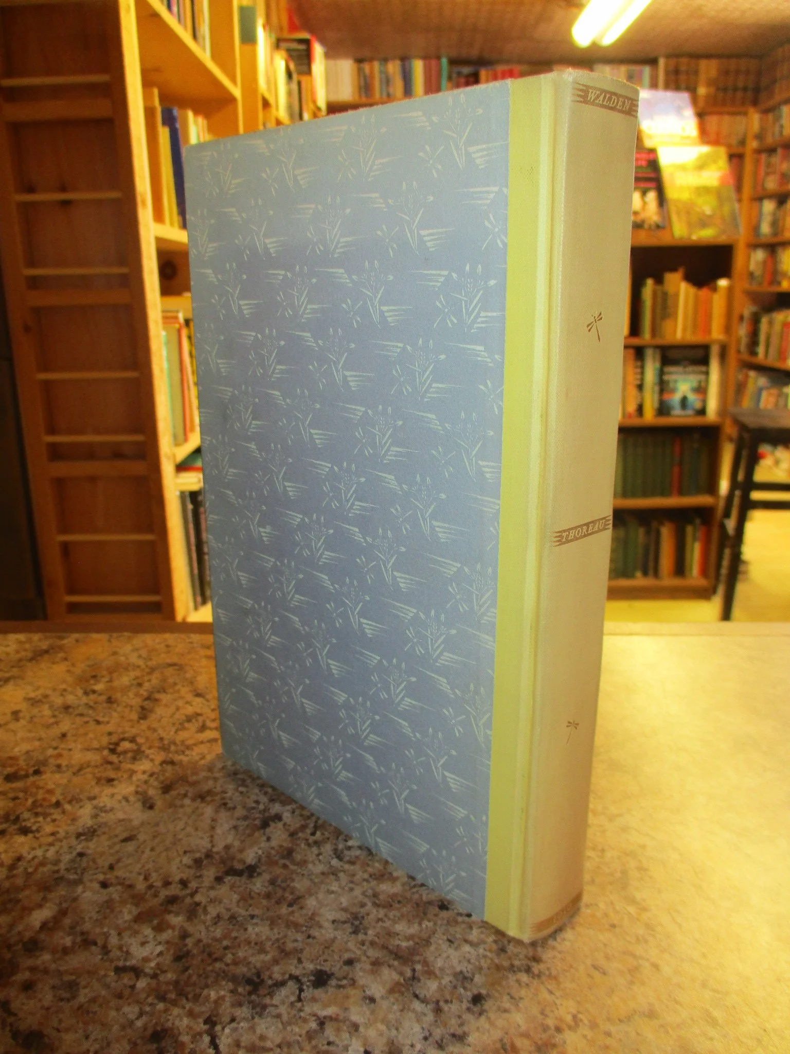 004363 - Walden 2.JPG