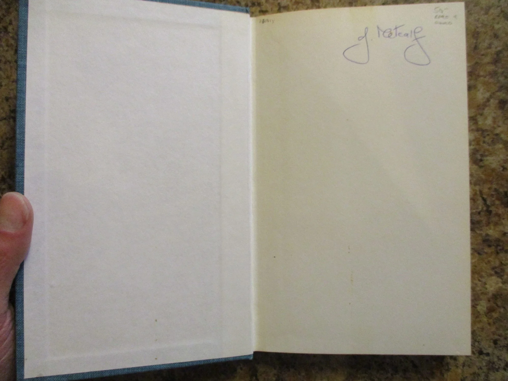 004345 - Girl In Gingham 5.JPG