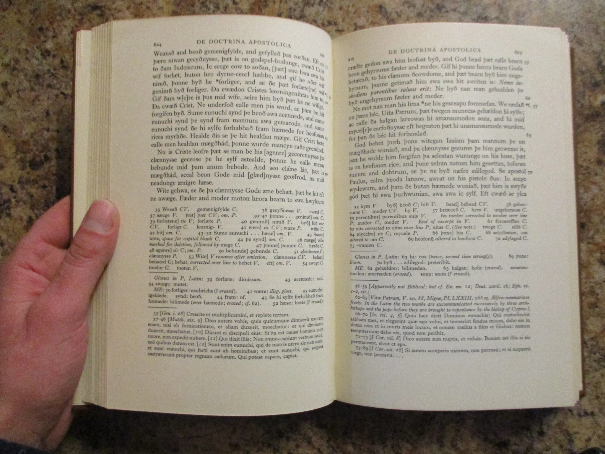 004216 - Homilies Aelfric 4.JPG