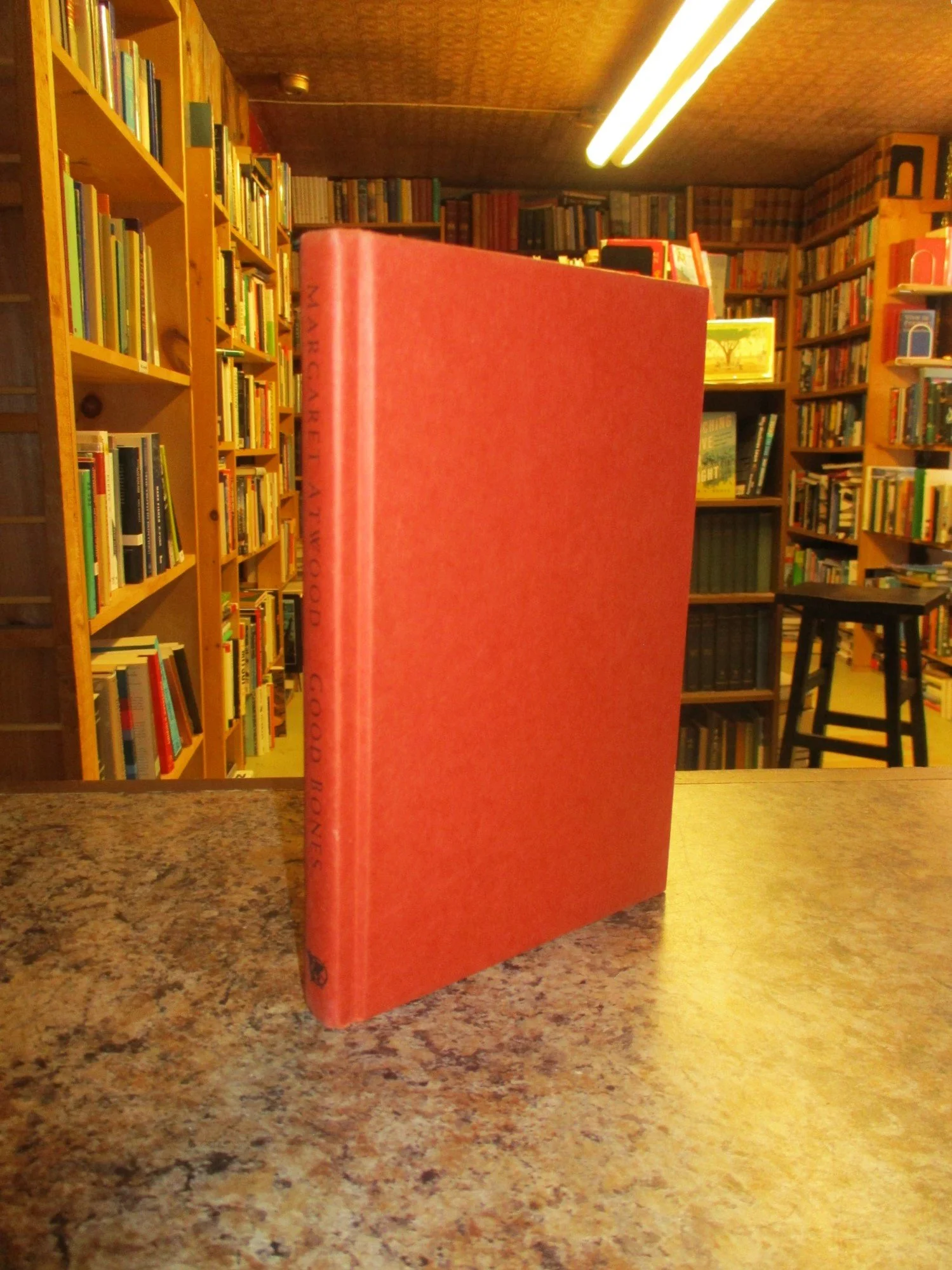 004316 - Good Bones 3.JPG