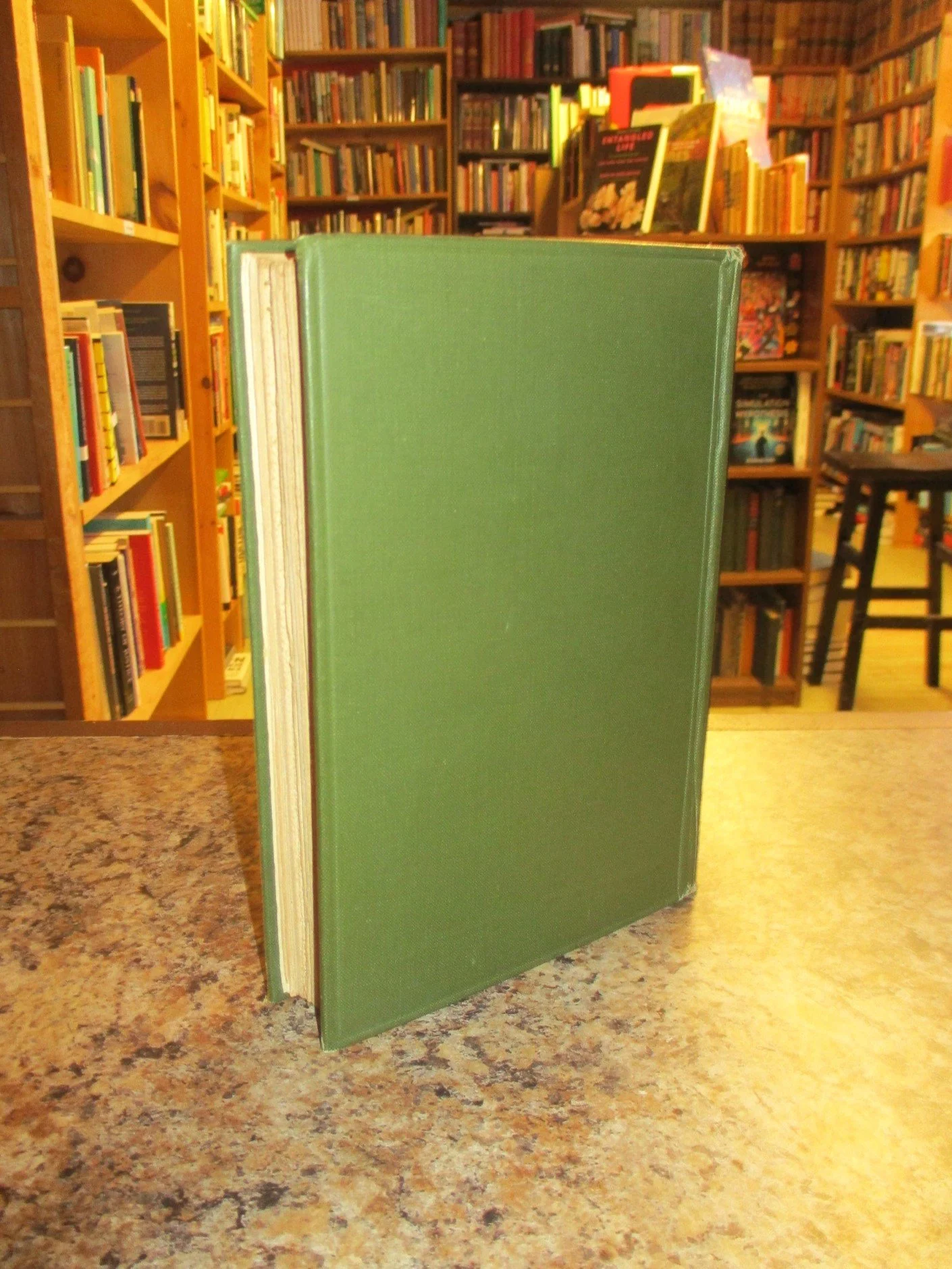 004340 - Sir Gawain Green Knight 2.JPG