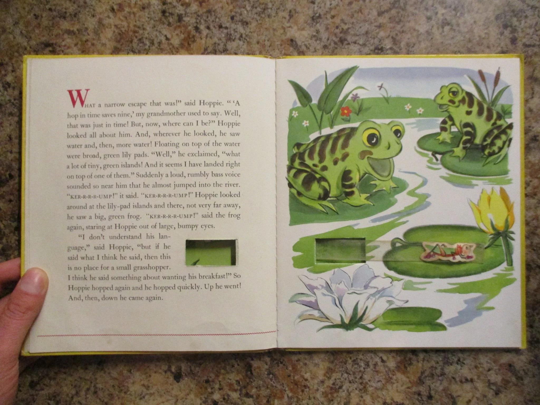 004333 - Hoppie 5.JPG