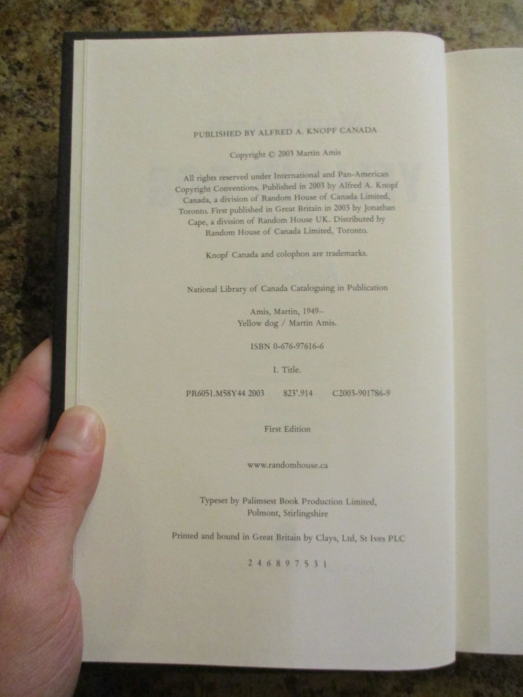 004263 - Yellow Dog 6.JPG