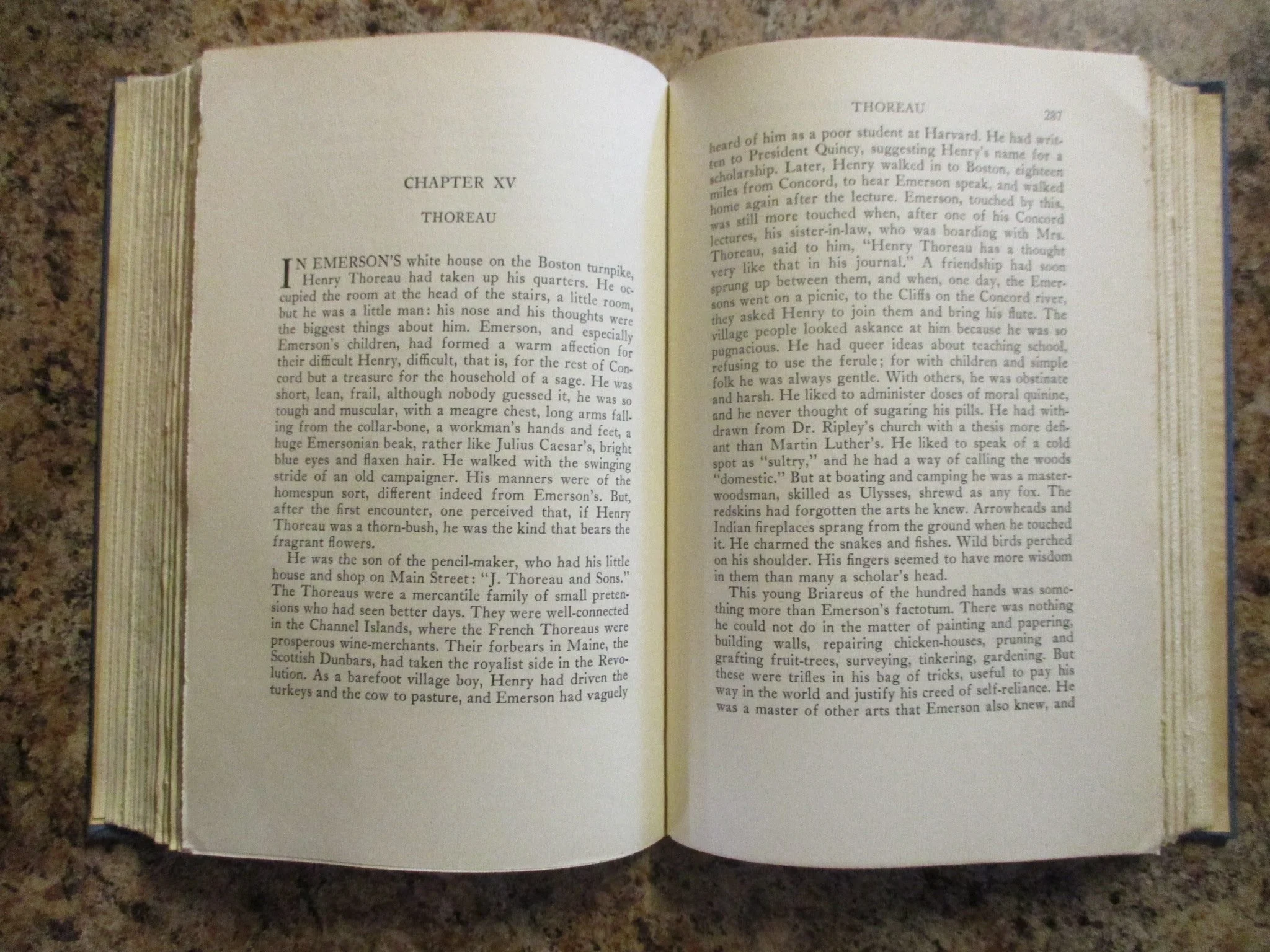 004289 - Flowering New England 7.JPG