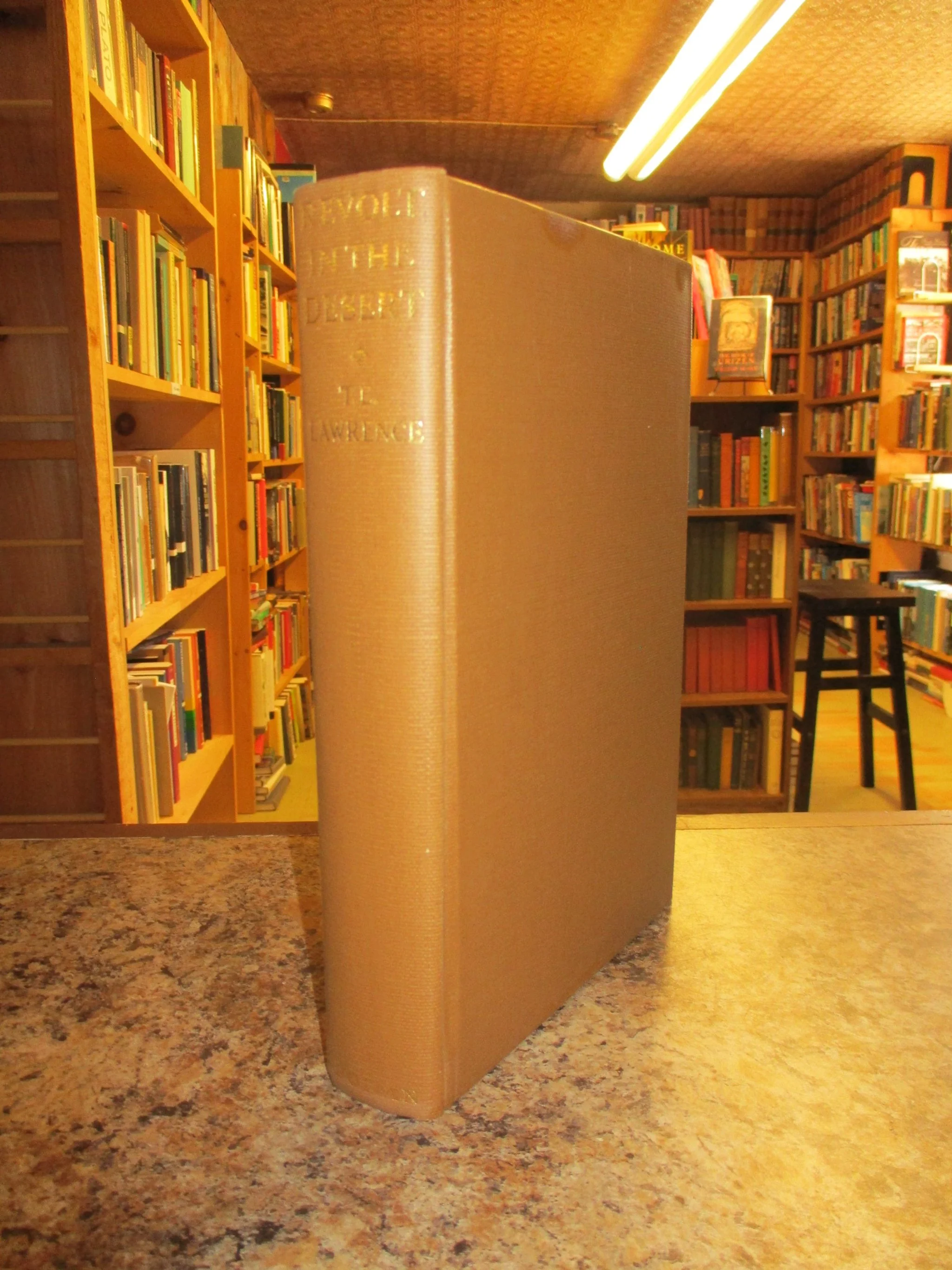 004057 - Revolt In The Desert 5.JPG