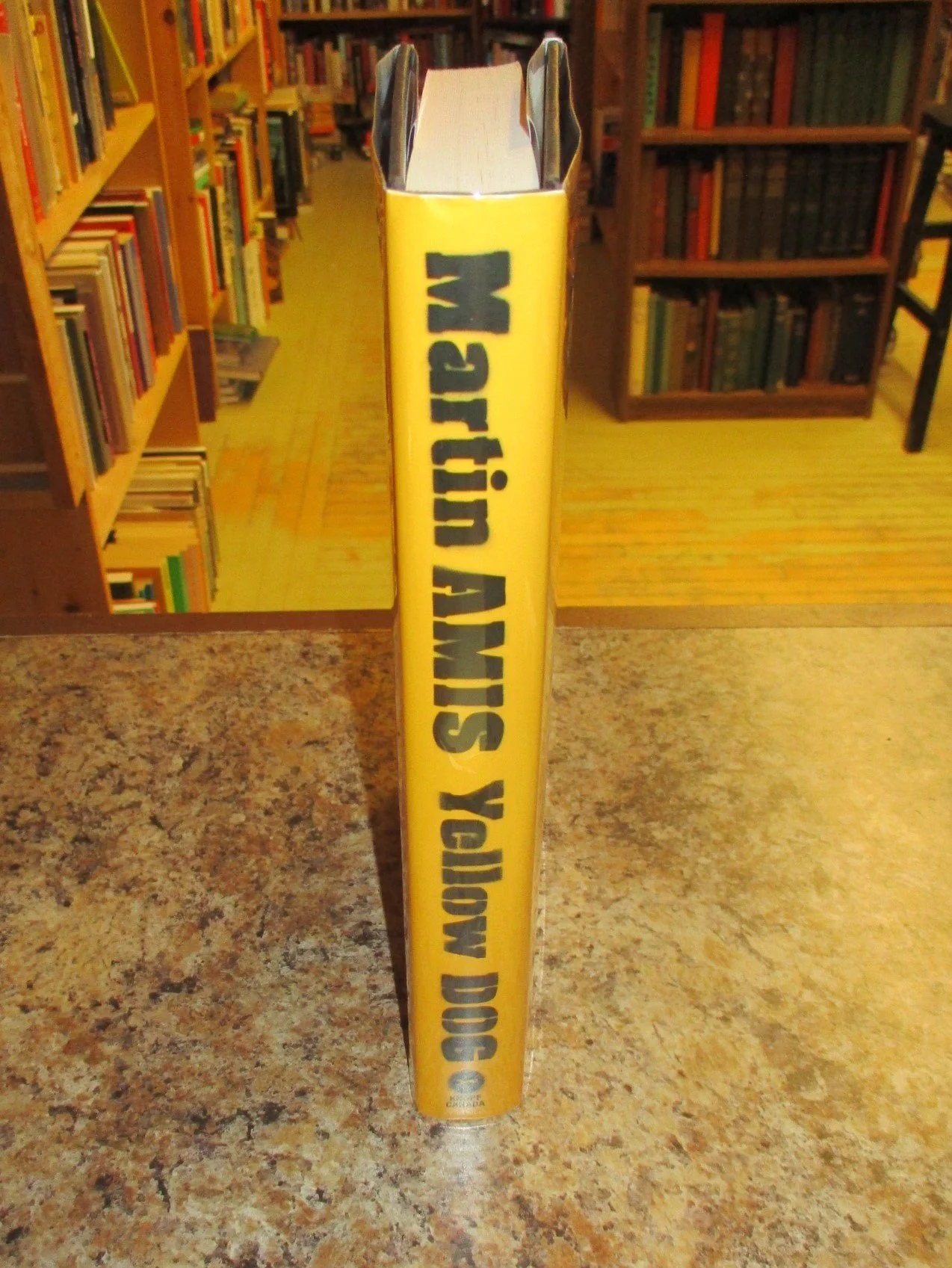 004263 - Yellow Dog 3.JPG