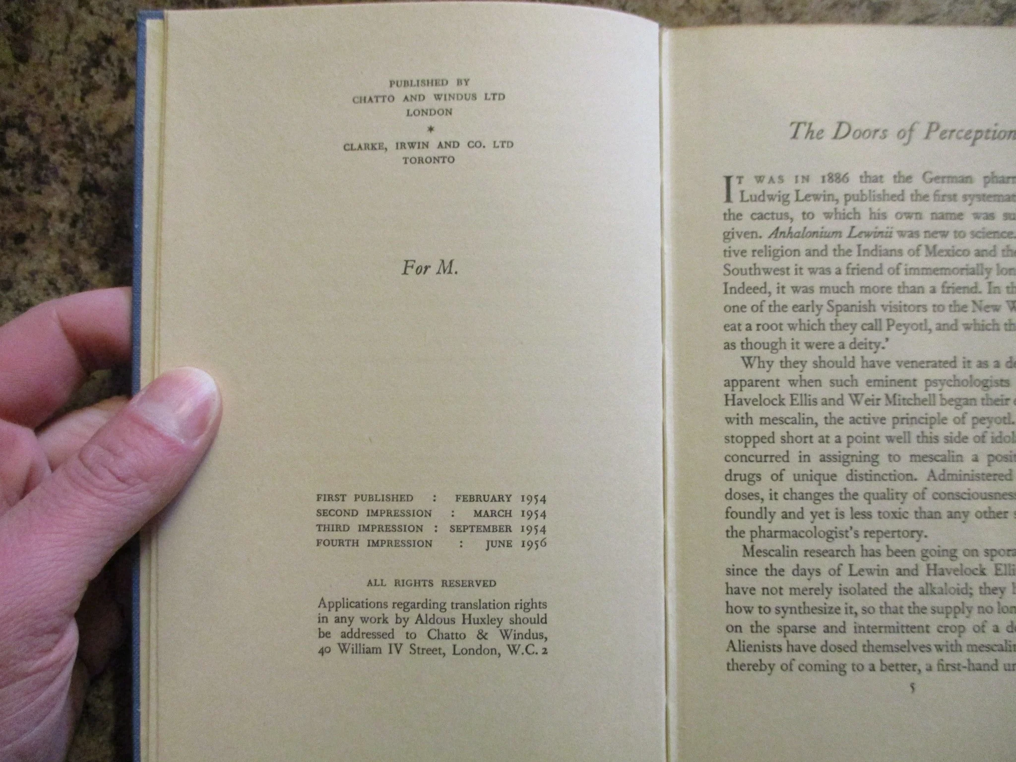 004358 - Doors of Perception 6.JPG