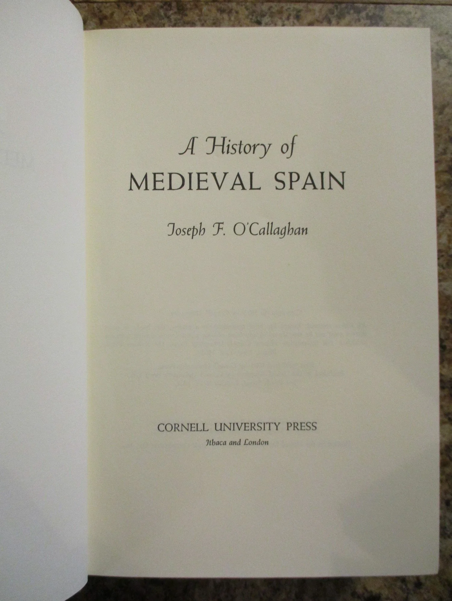 004247 - Medieval Spain 4.JPG