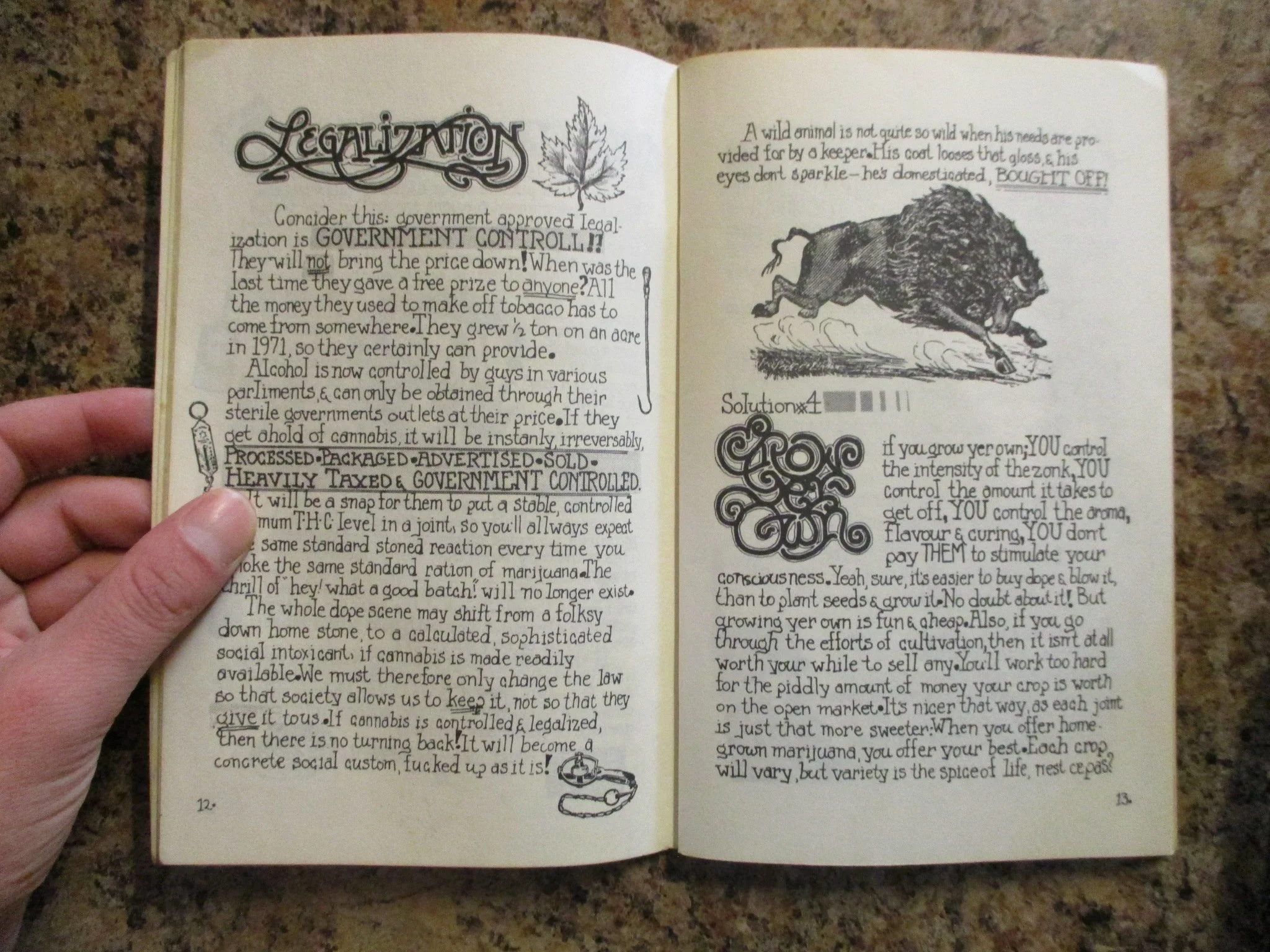 004066 - Grow Yer Own Stone 5.JPG