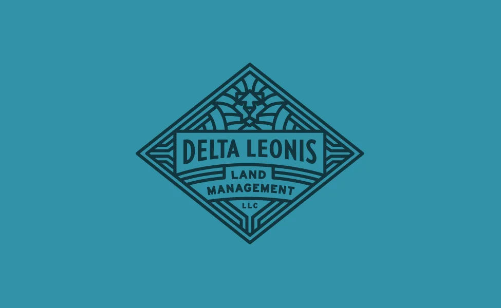 delta_leonis_for_LDweb.jpg