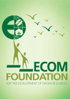 ECOM+foundation.png