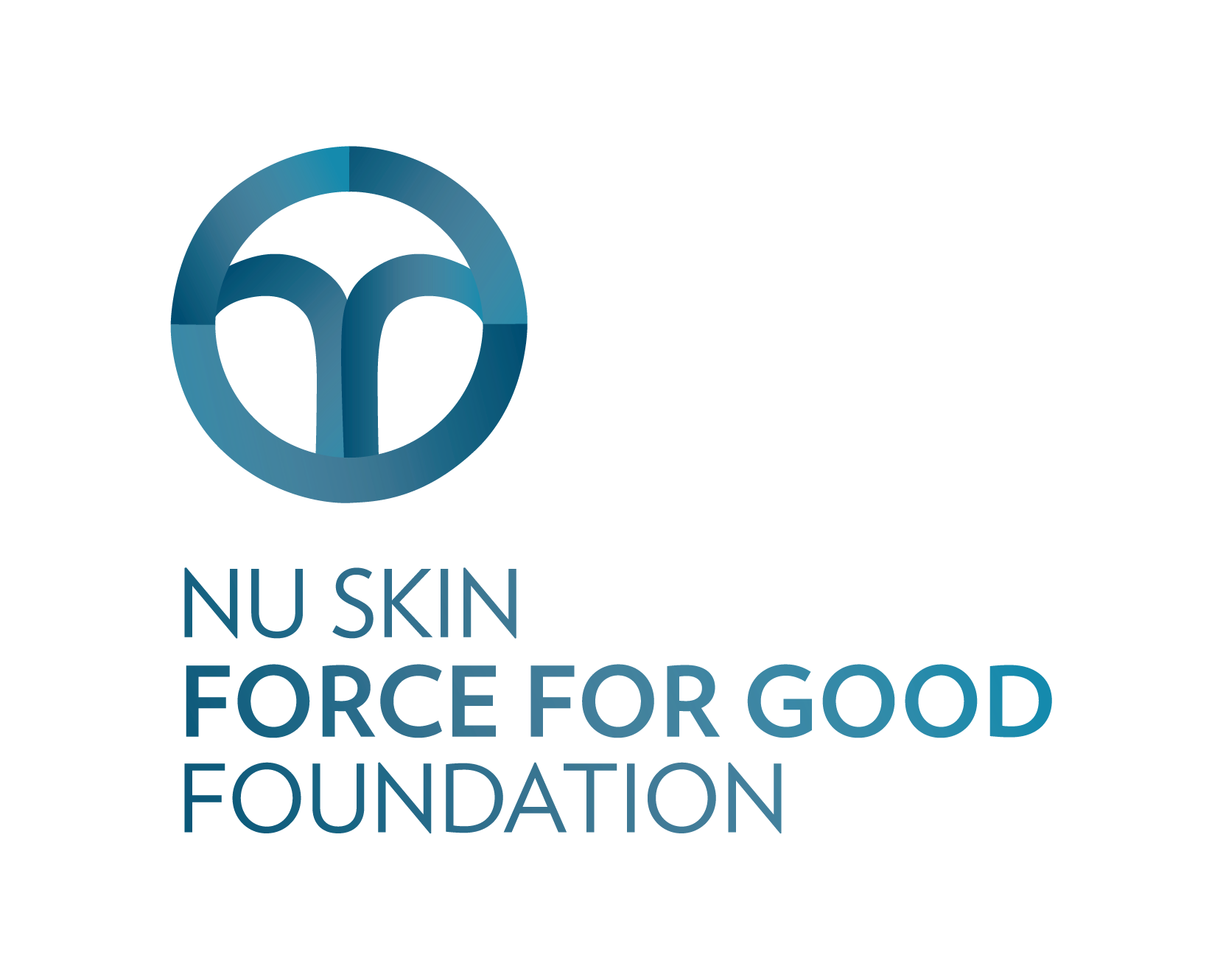 nsffg_foundation_icon.png