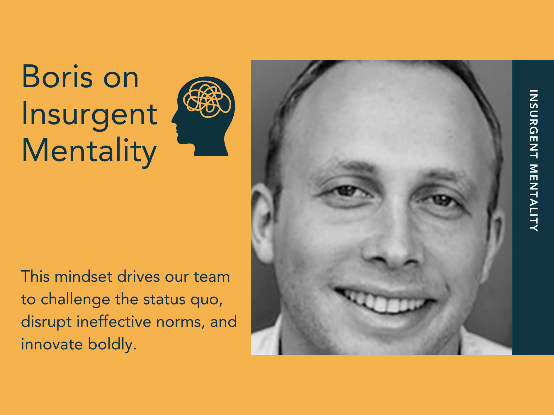 Boris on Insurgent Mentality