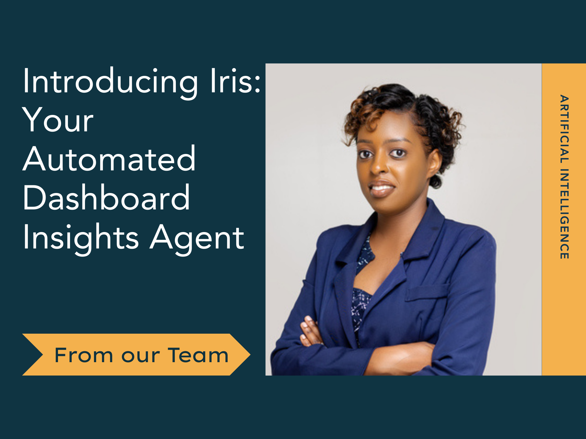 Introducing Iris Your Automated Dashboard Insights Agent