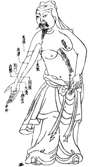 Acupuncture_chart_300px.jpg