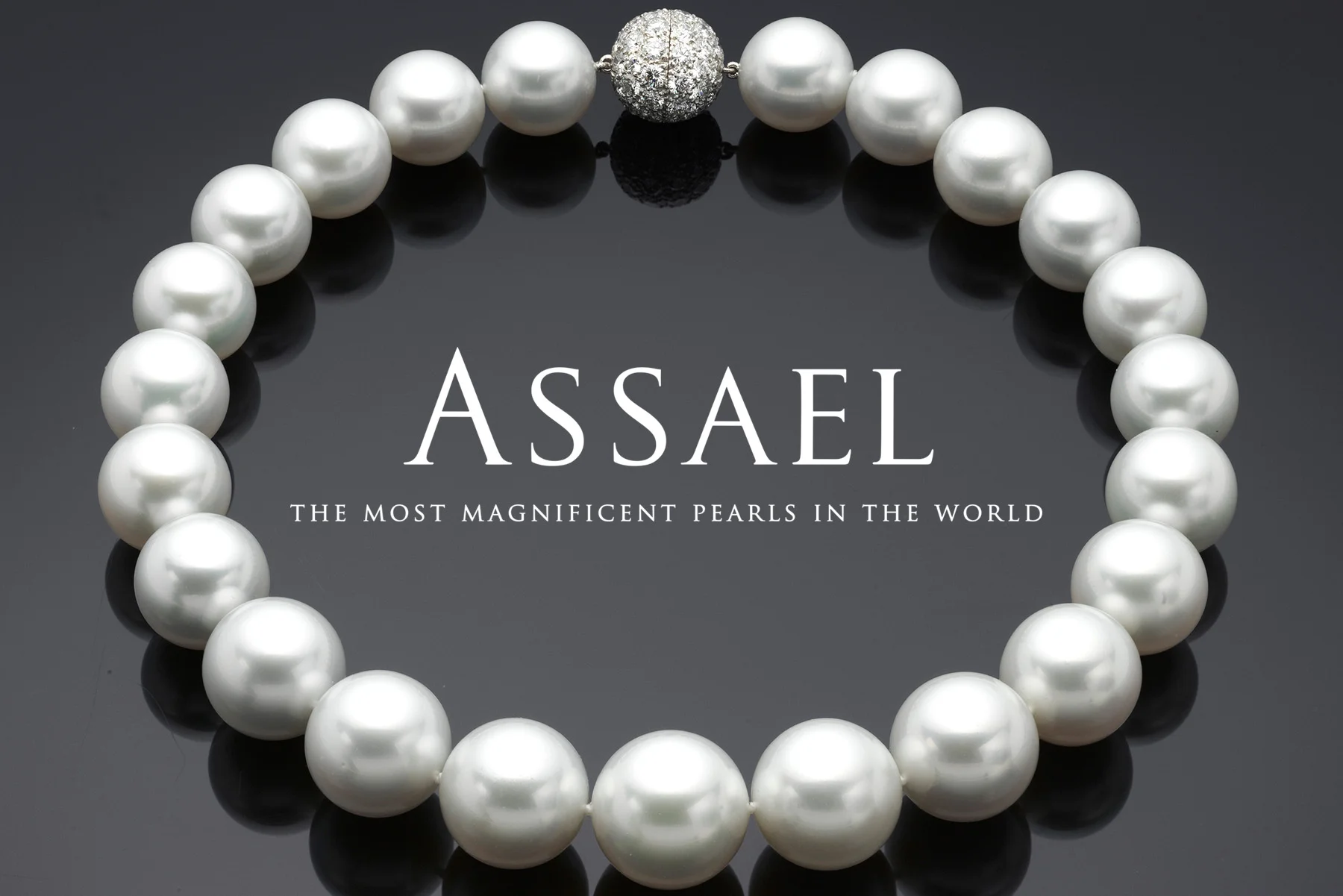 ASSAEL_SLIDE1Logo.jpg