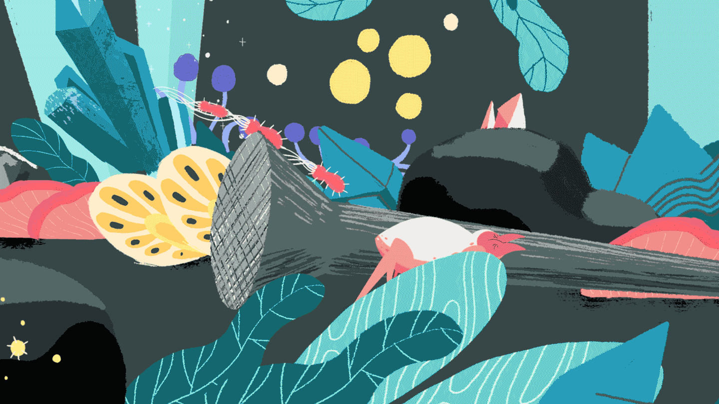 IntroPan_02.gif