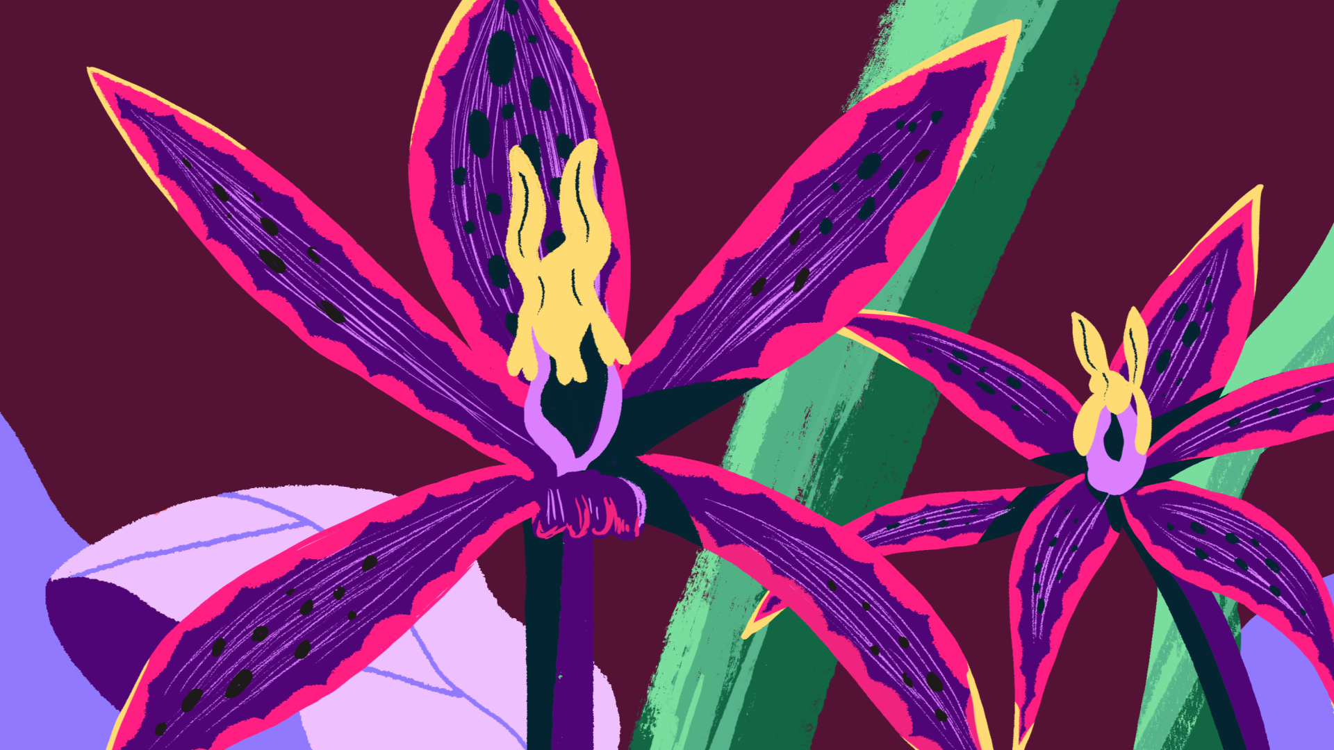 TED_orchid_edit_02377.png