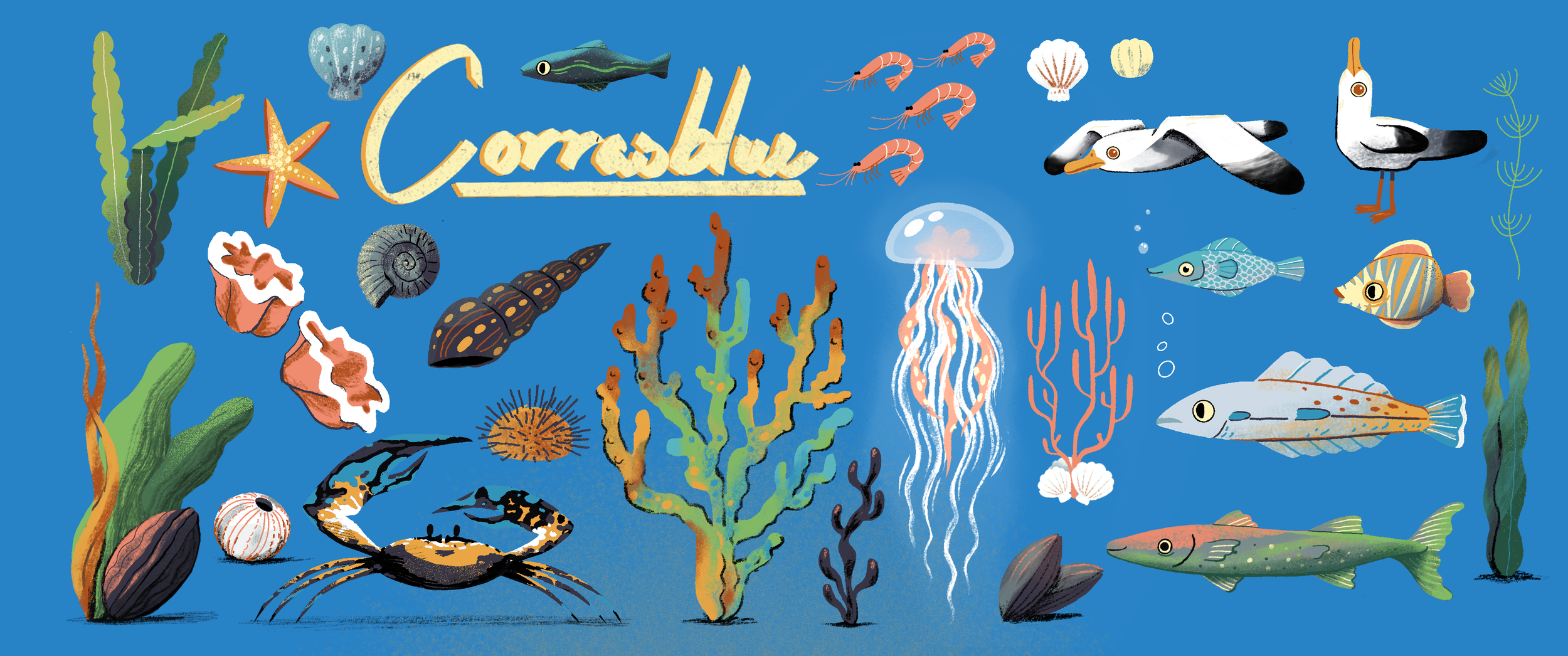Corrasblue_elementDesign_v06.png