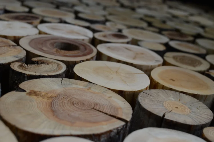 Log Round Entry Wall