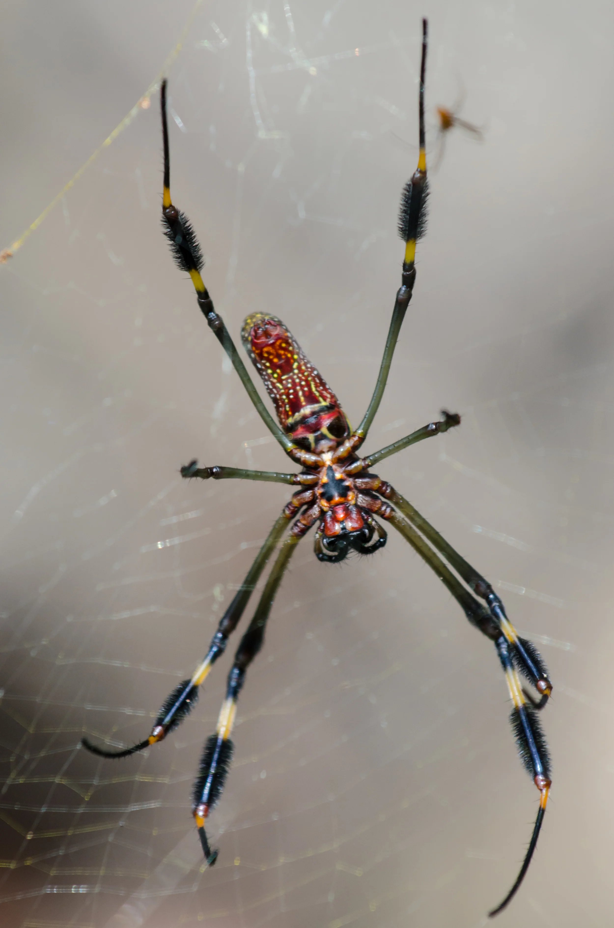 DSC_7346.jpg