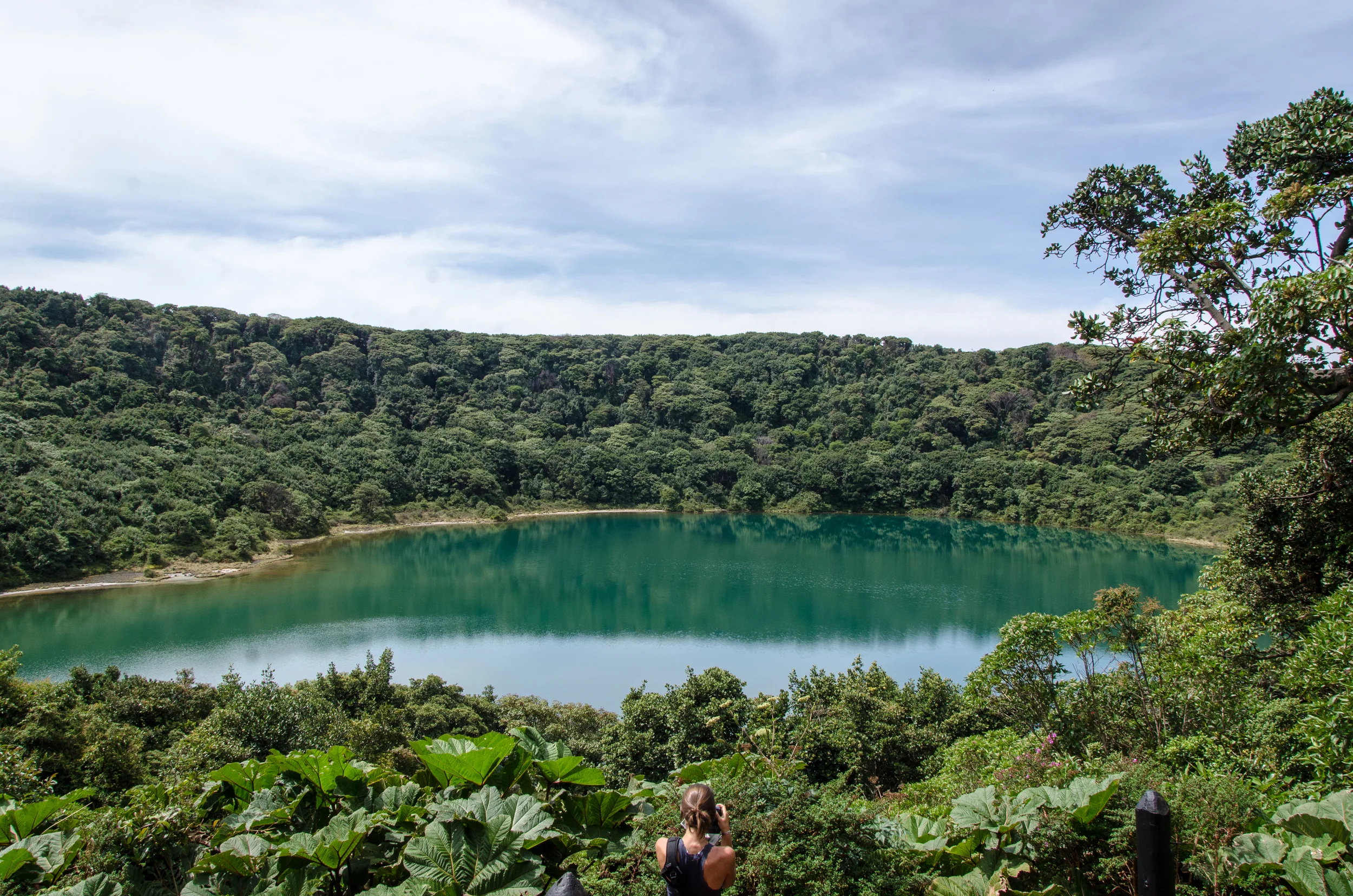 DSC_7477.jpg