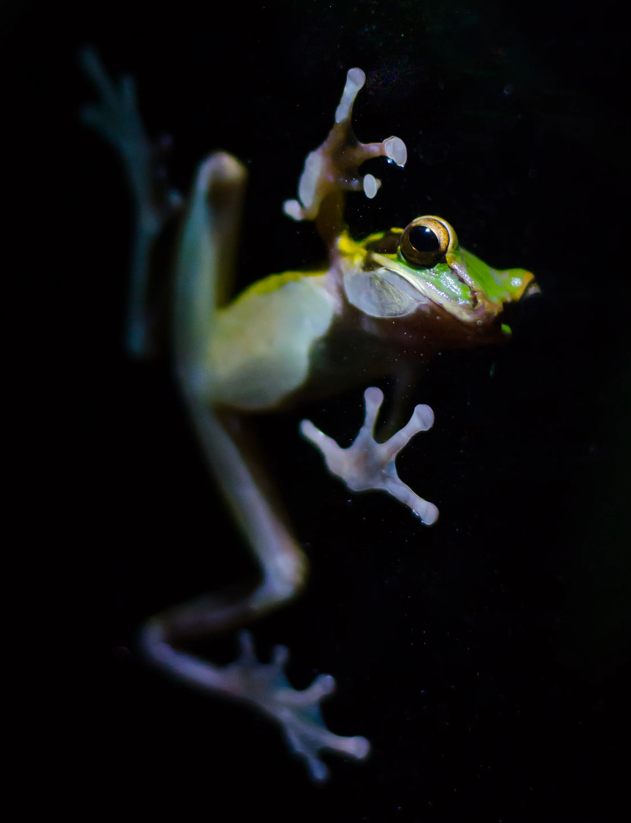 DSC_6903.jpg