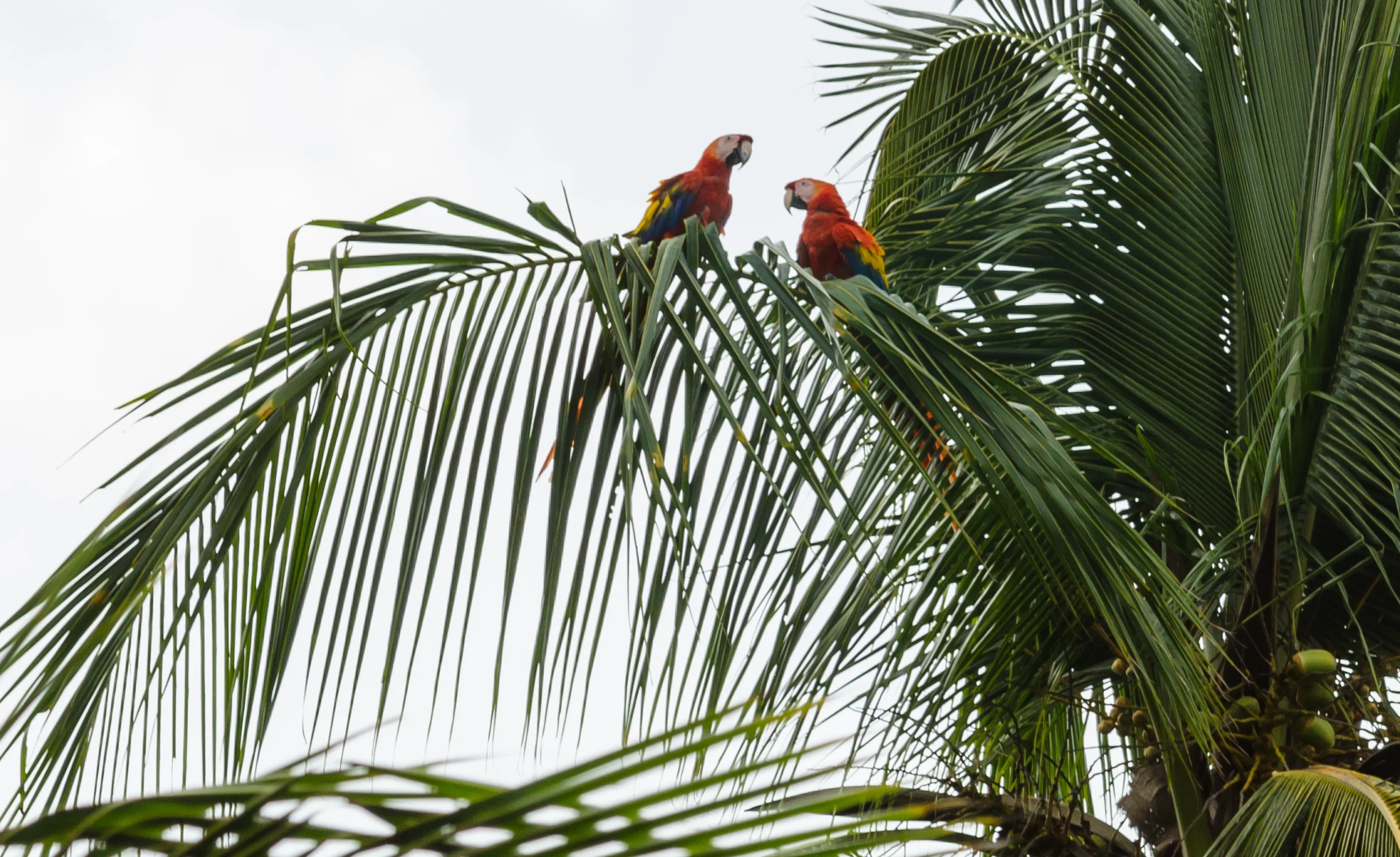 DSC_7043.jpg