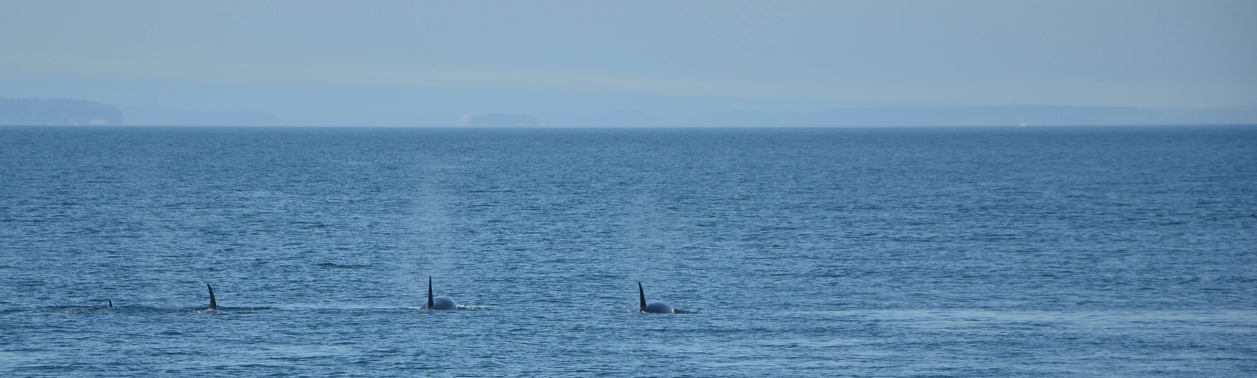 DSC_1476.jpg