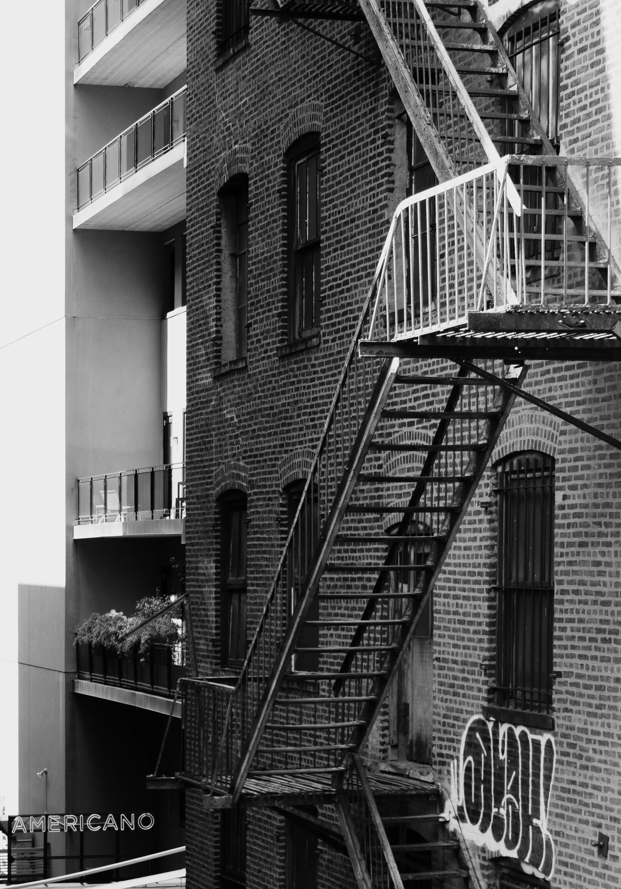 DSC_5394.jpg