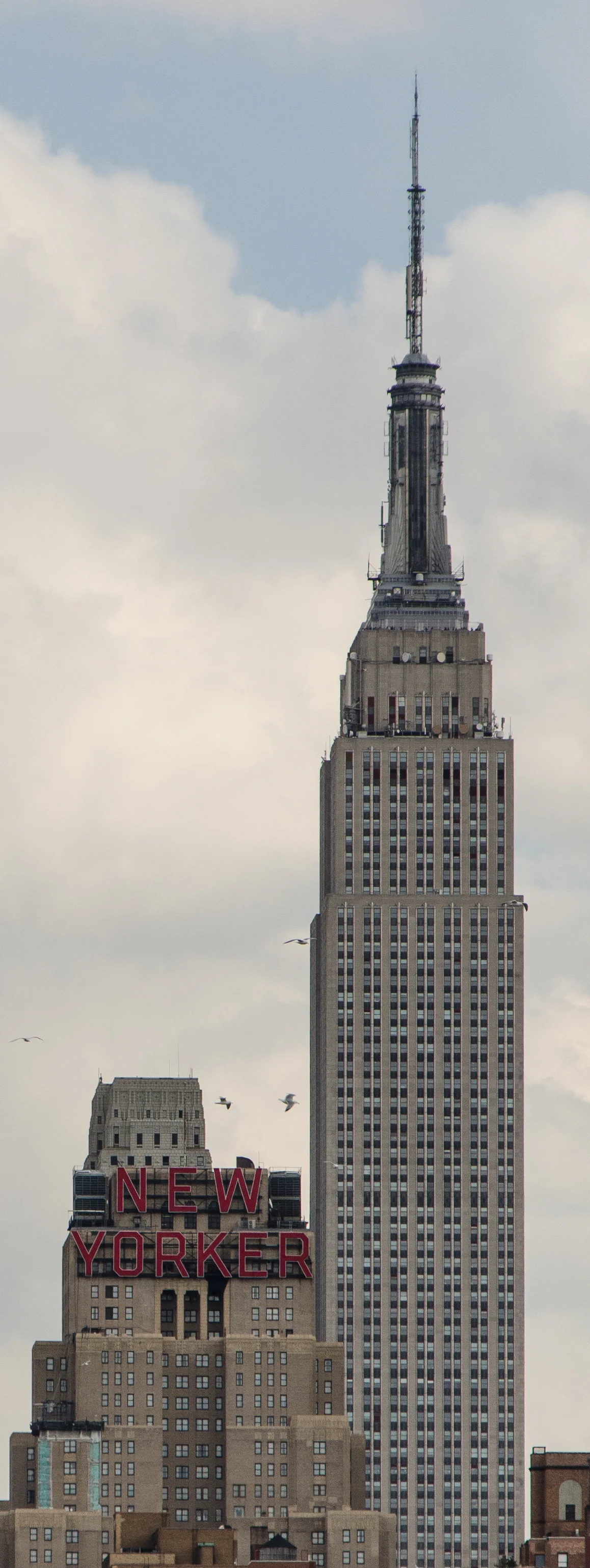DSC_5396.jpg