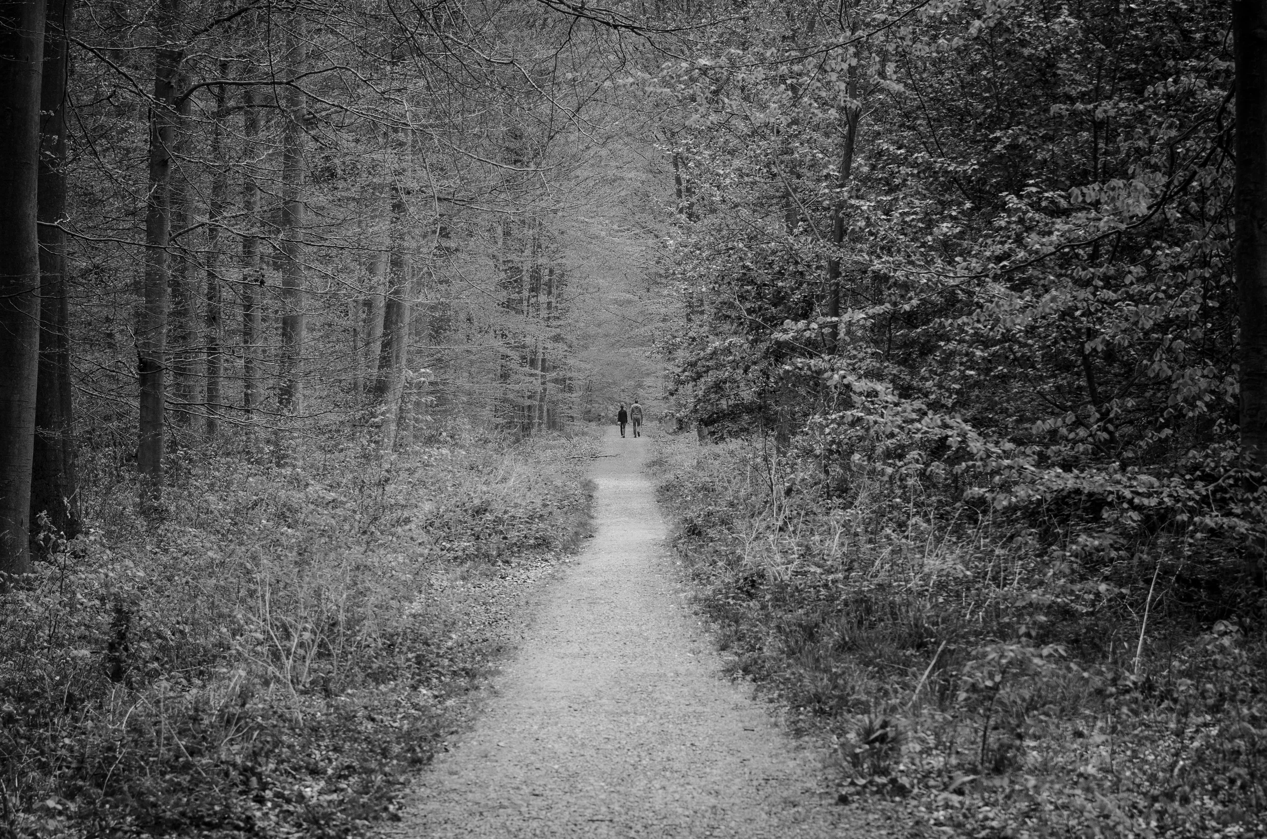 DSC_1321.jpg