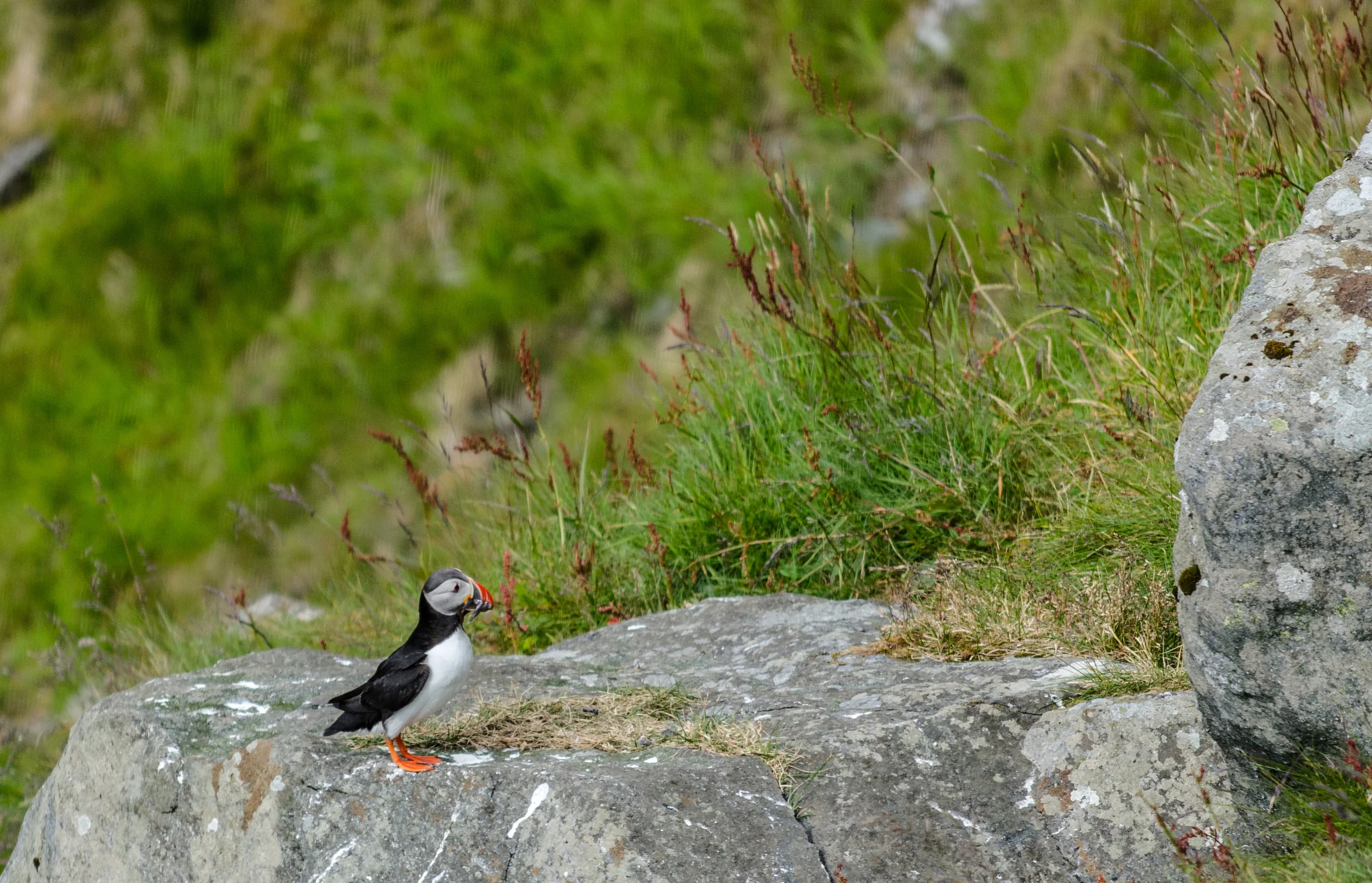 DSC_4482.jpg