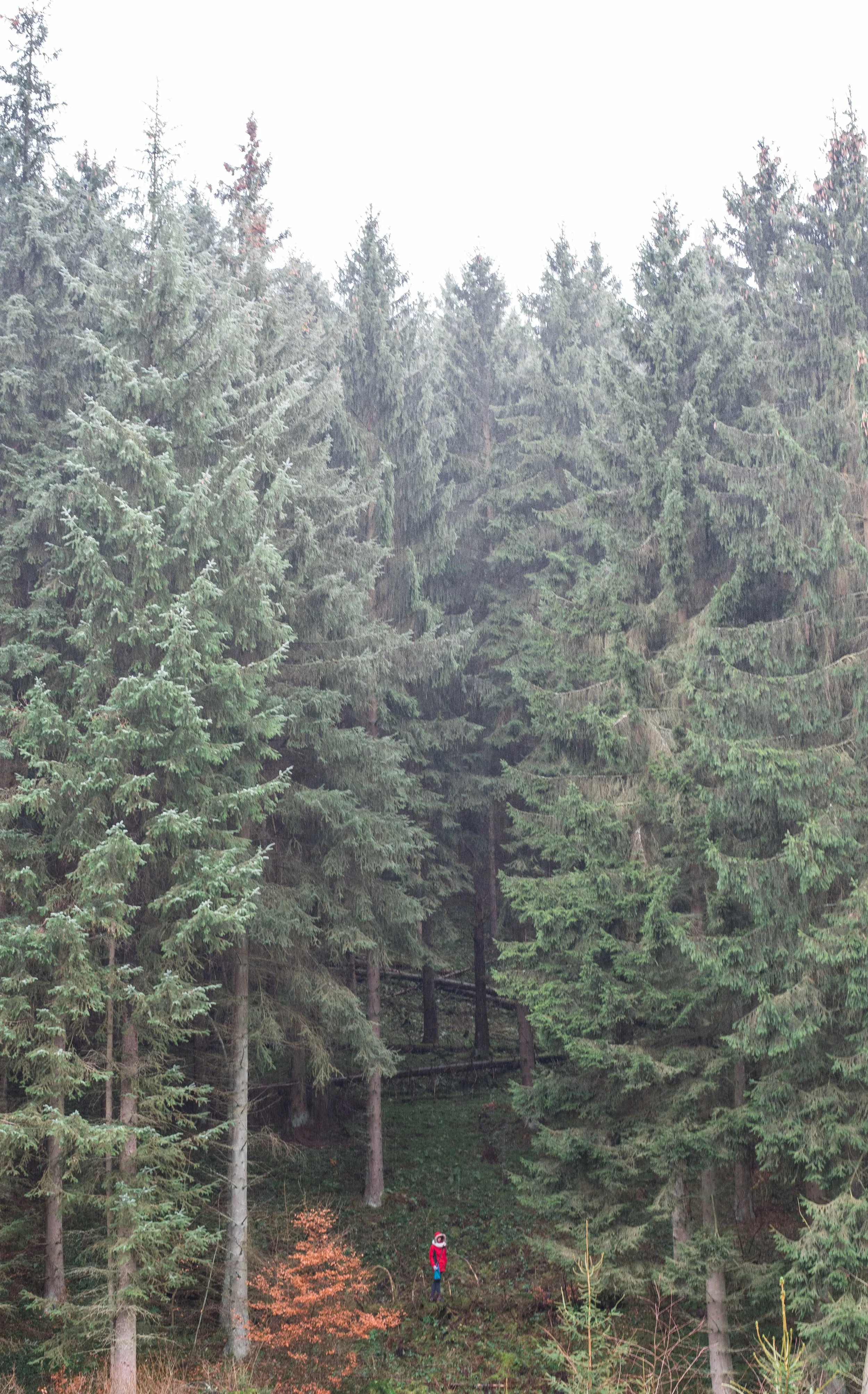 DSC_1107.jpg