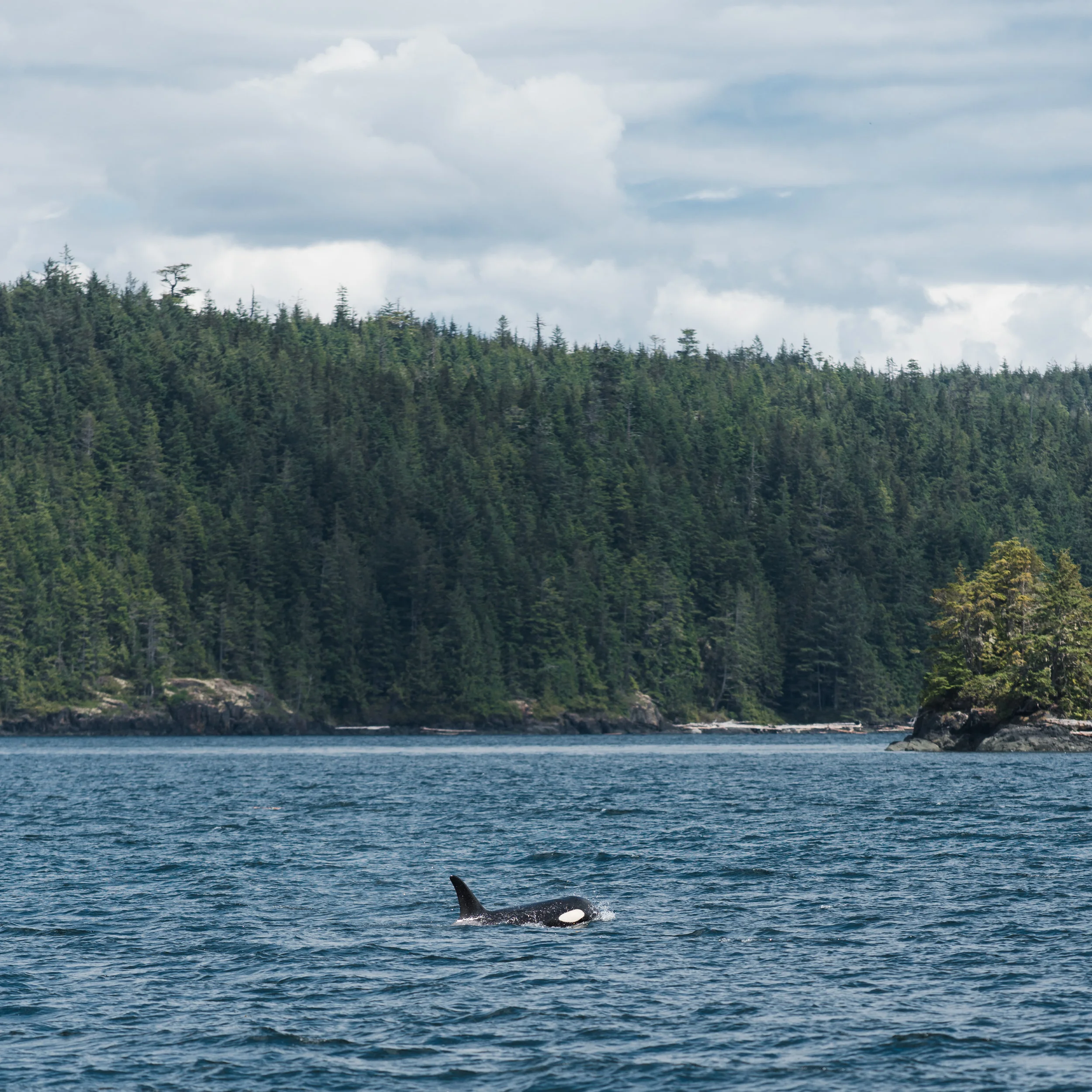 DSC_0563.jpg