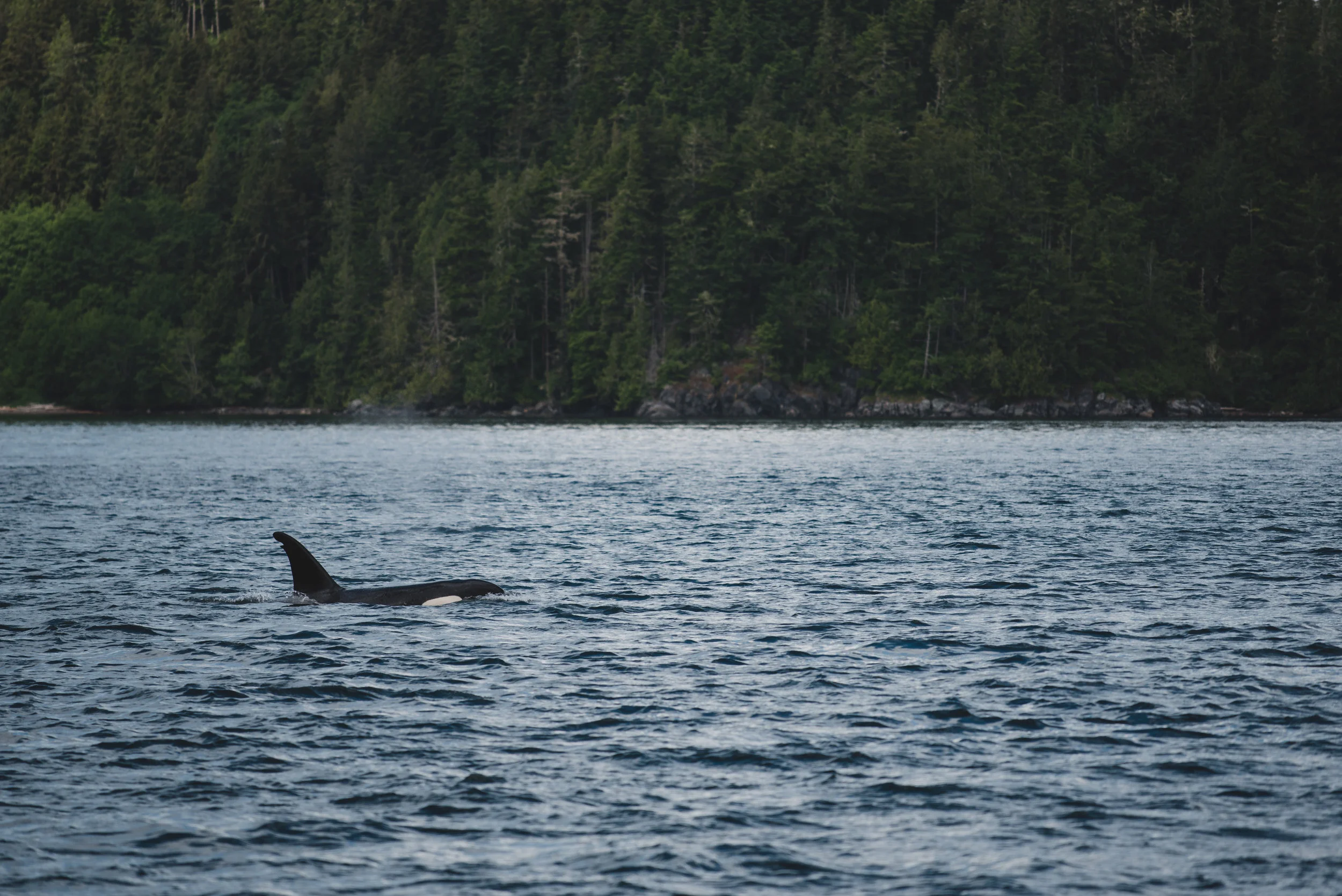 DSC_0415.jpg