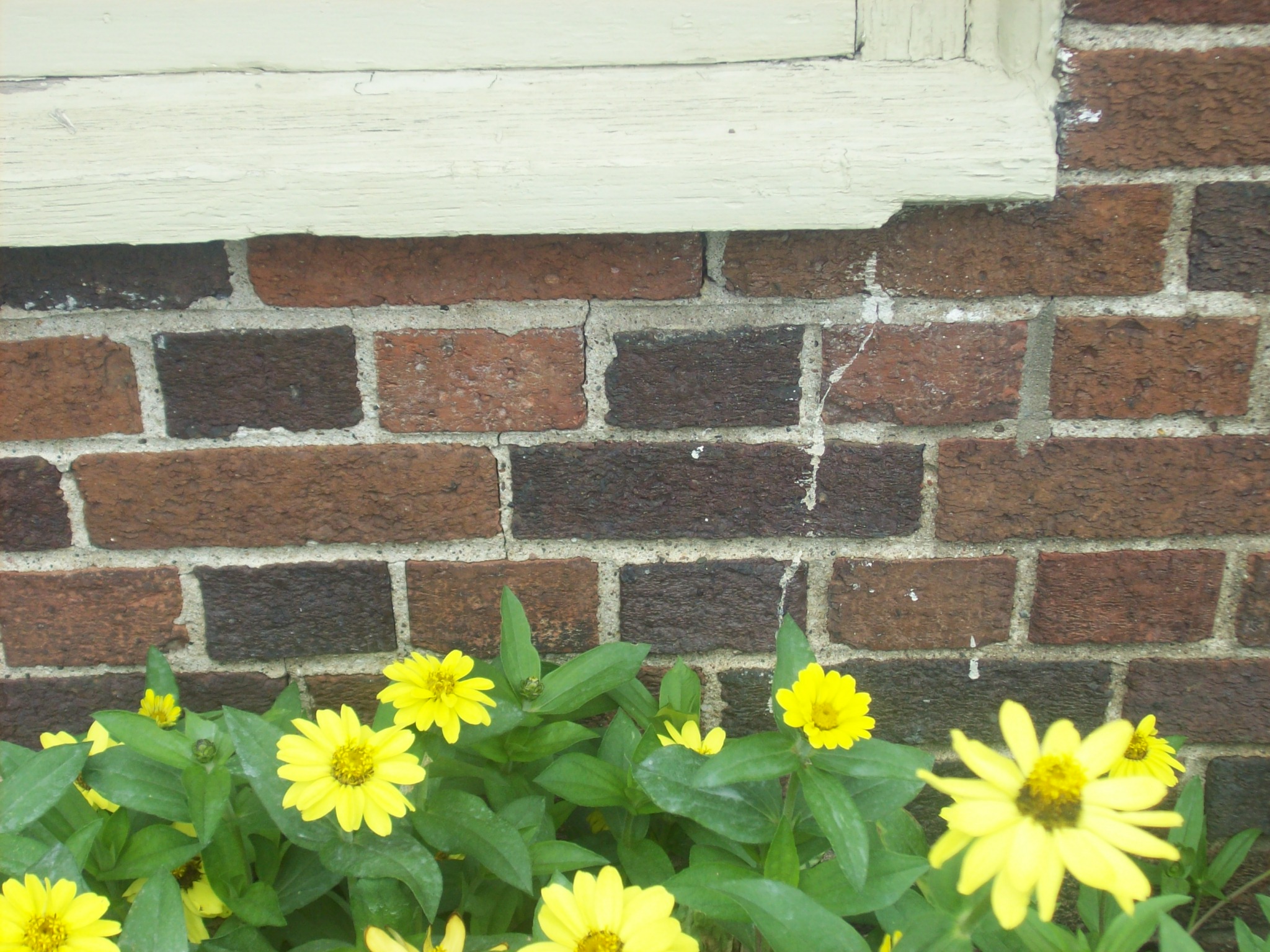 Tuck pointing definition