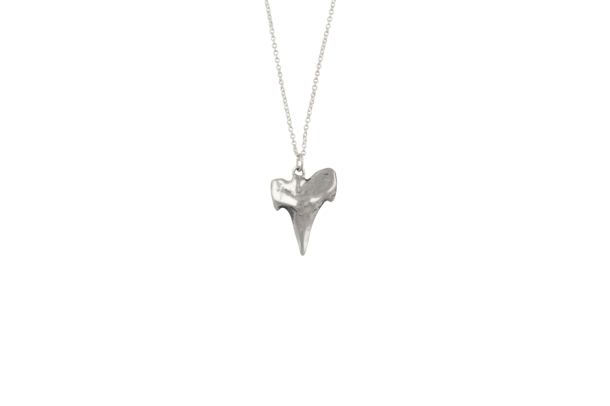 Shark Tooth Charm