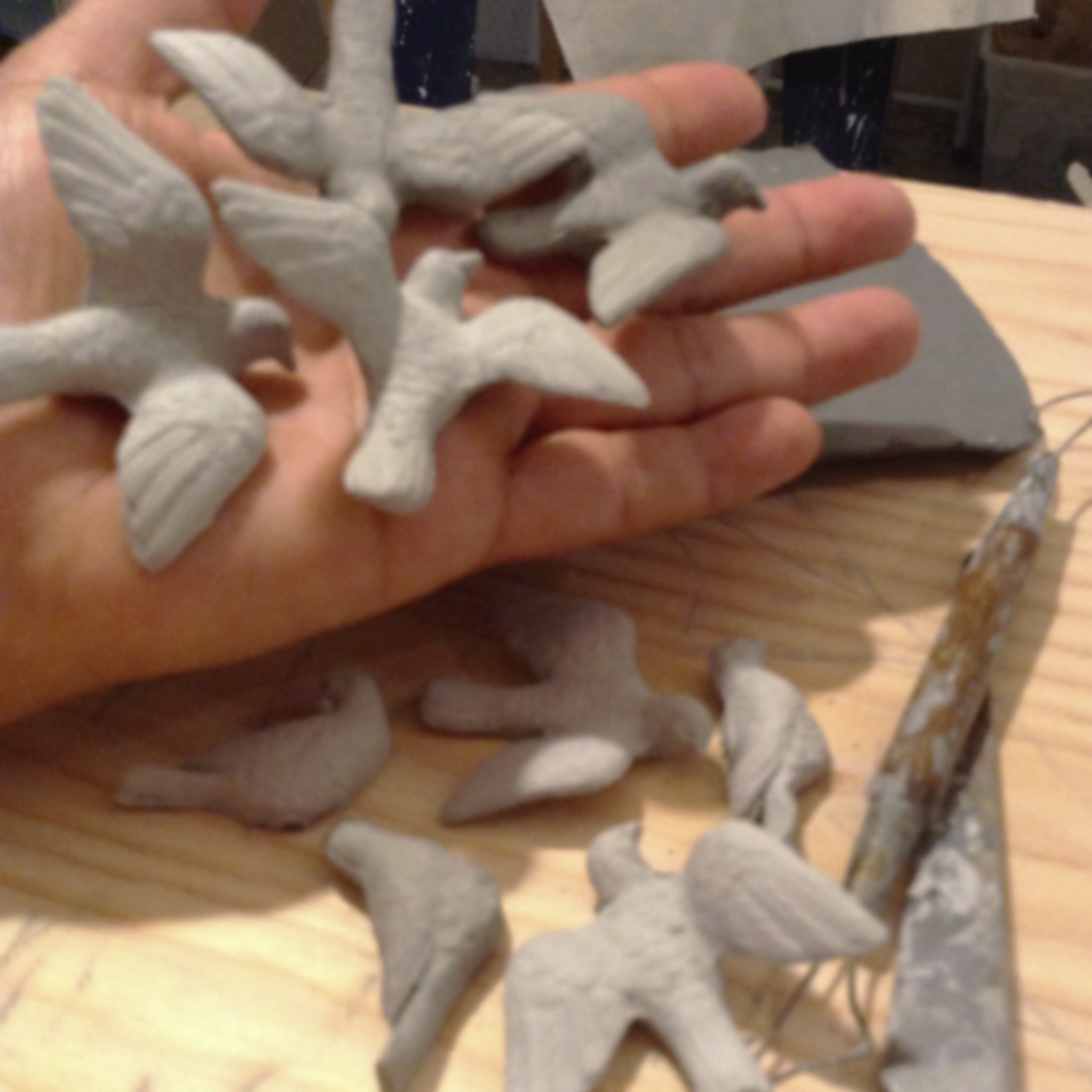 The beginnings of a flock