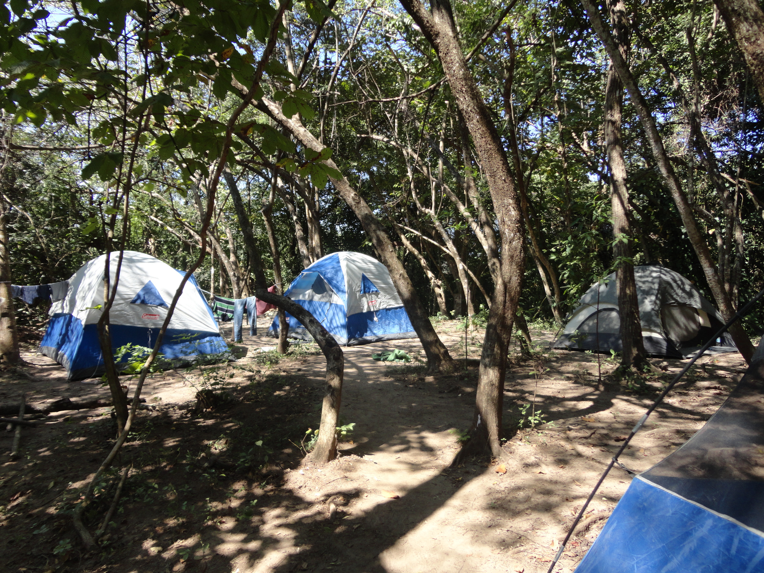 DSC00226.JPG