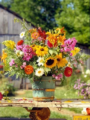 Image Source: Pinterest