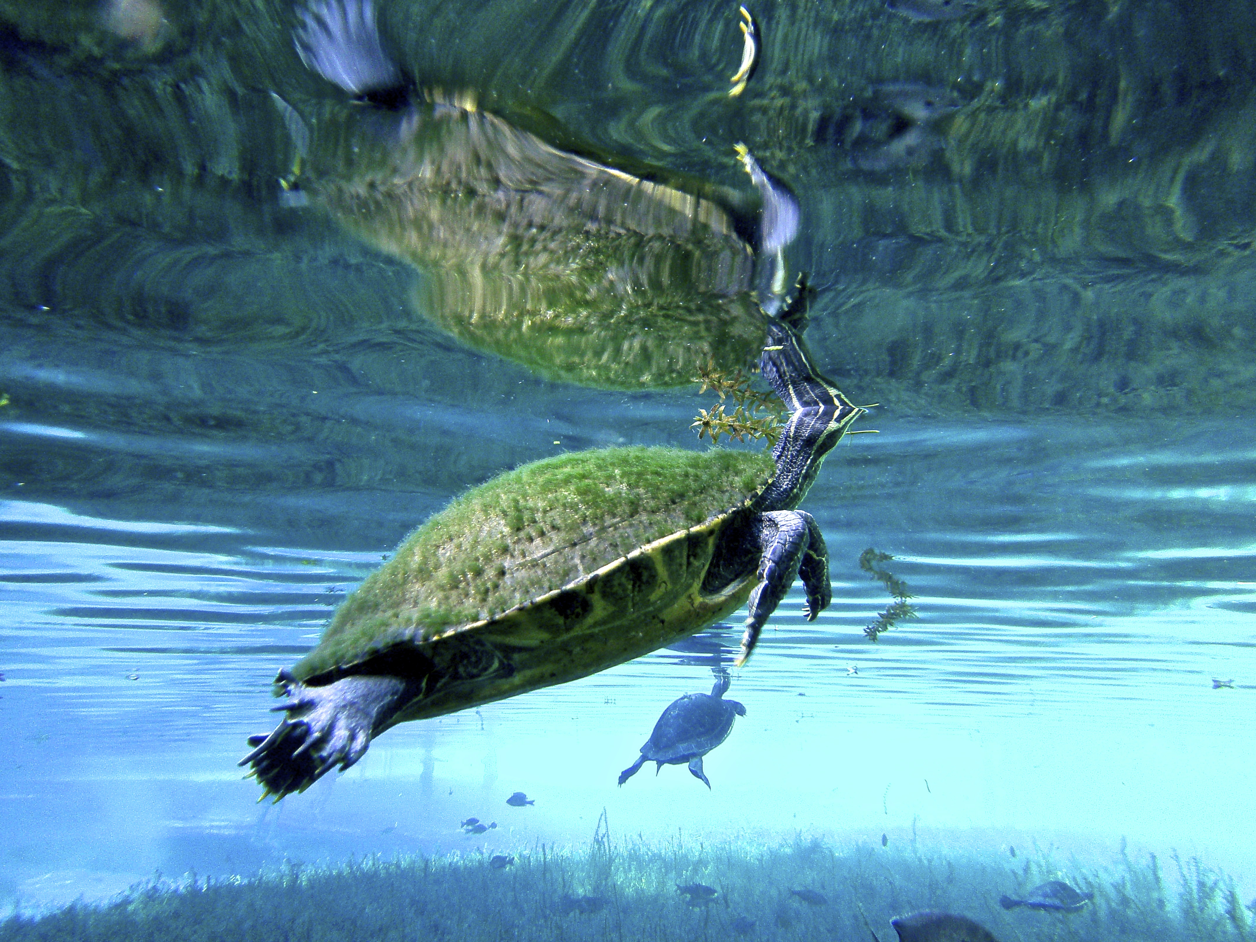 Announcing the 2013 FLTWS Photo Contest Winner!