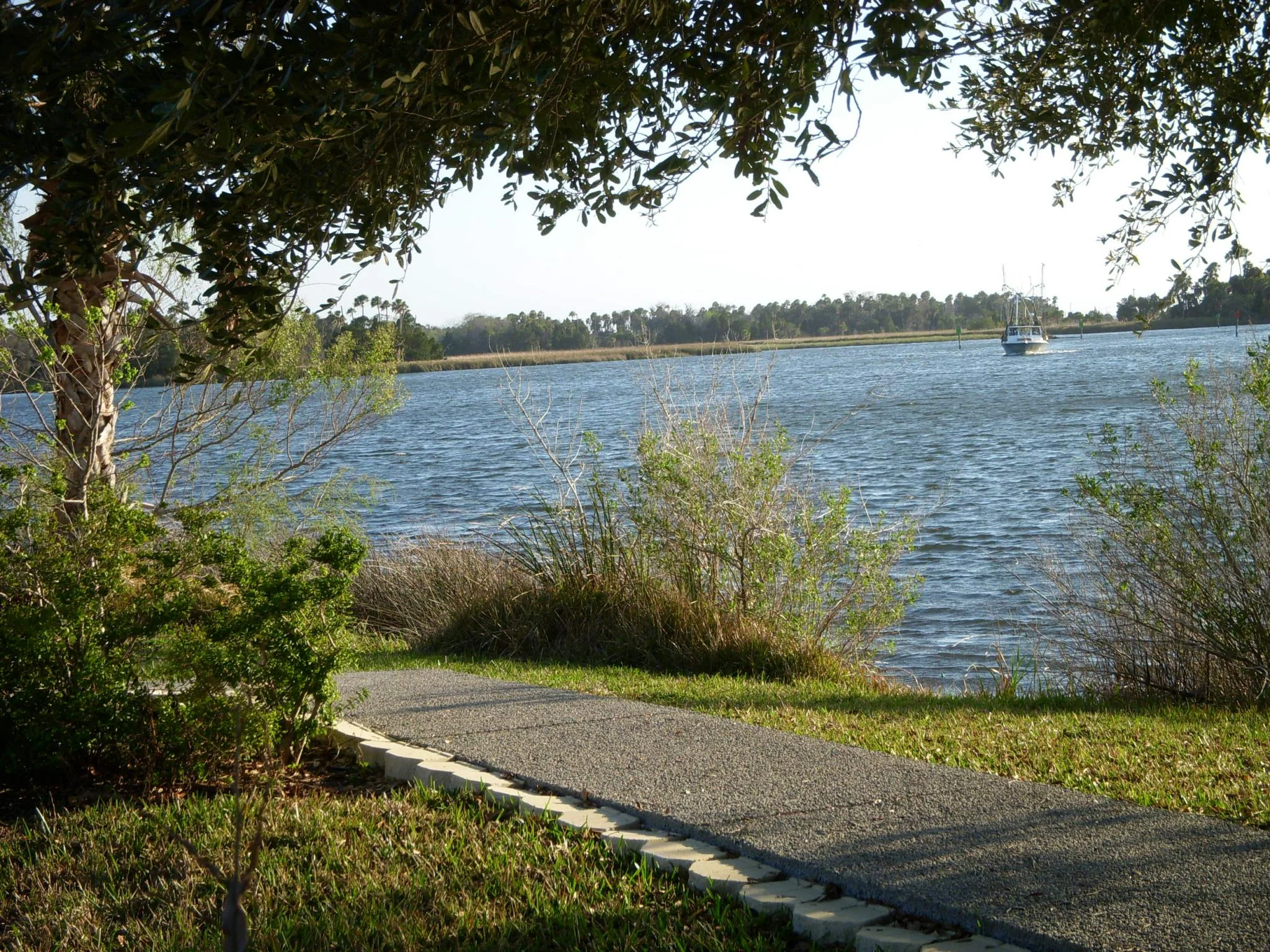Crystal River Preserve SP.jpg