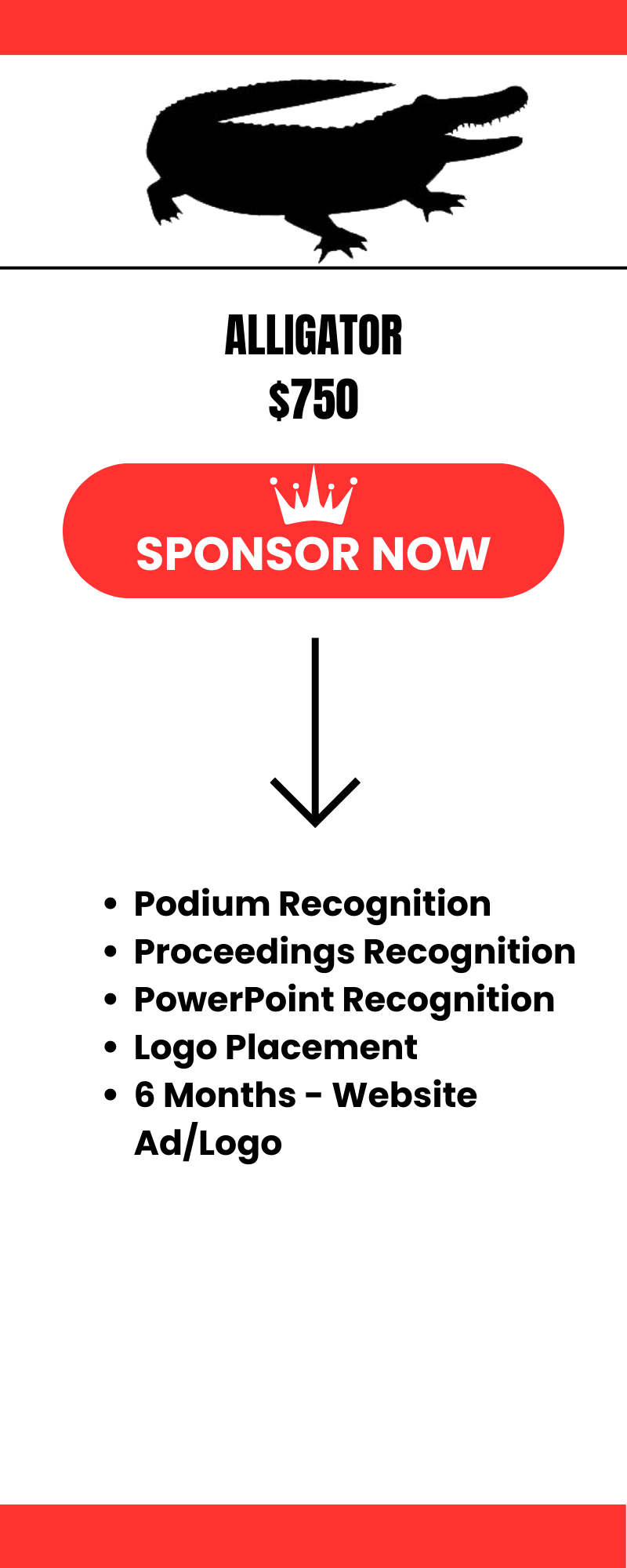 Sponsorships (2).png