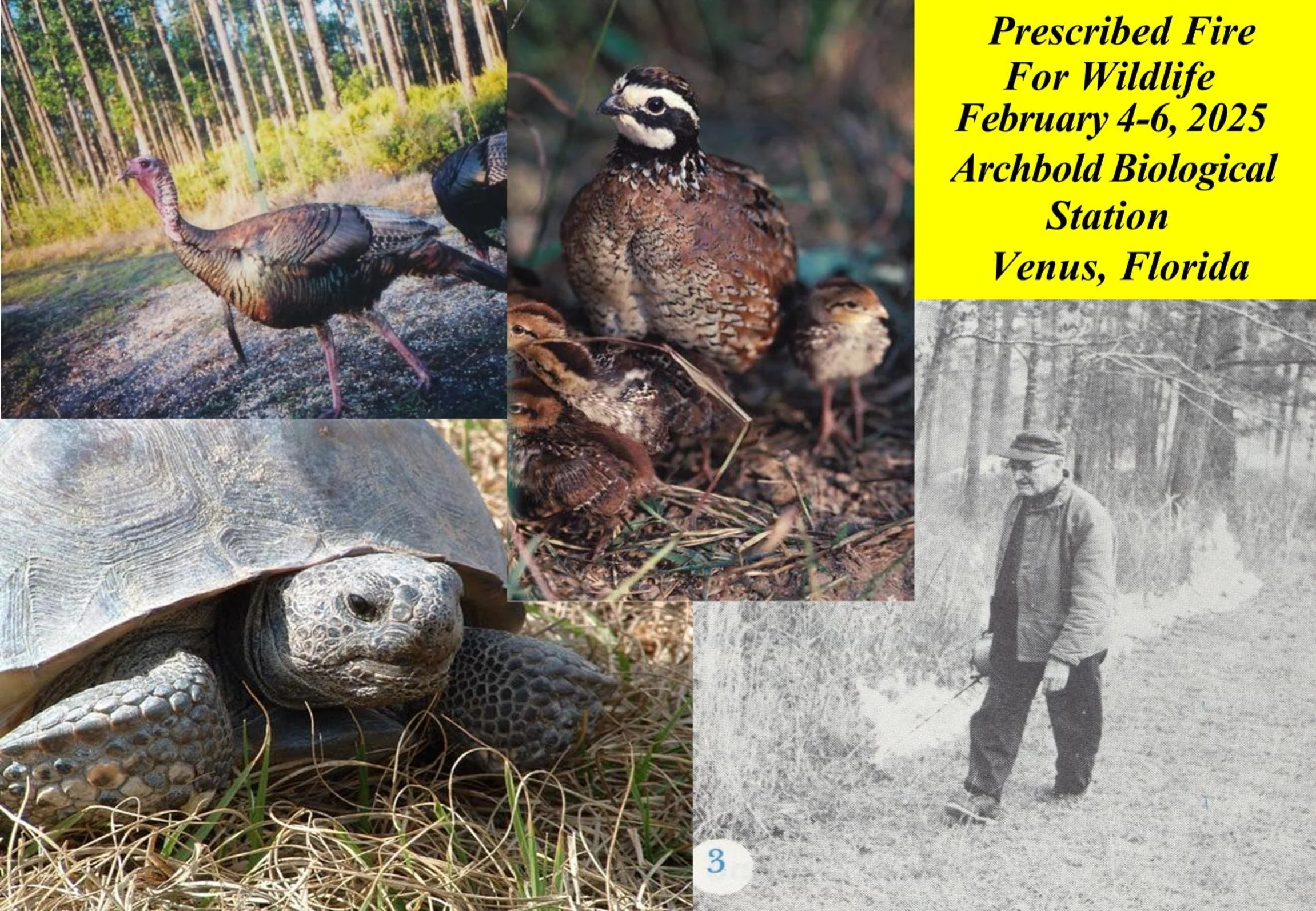 Prescribed Fire for Wildlife Class - Registration now open!