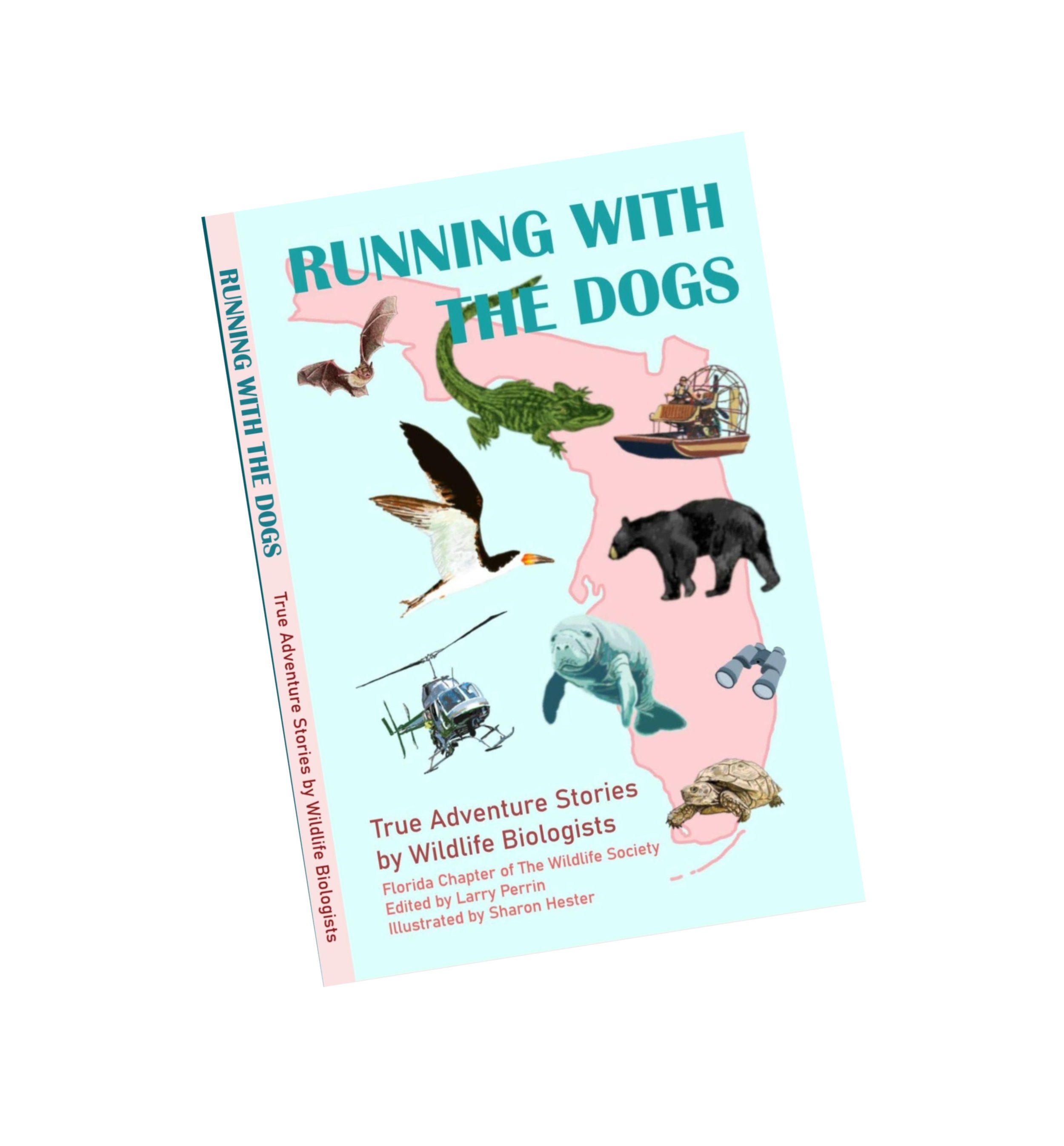 Our "Adventure Stories" book is now available!